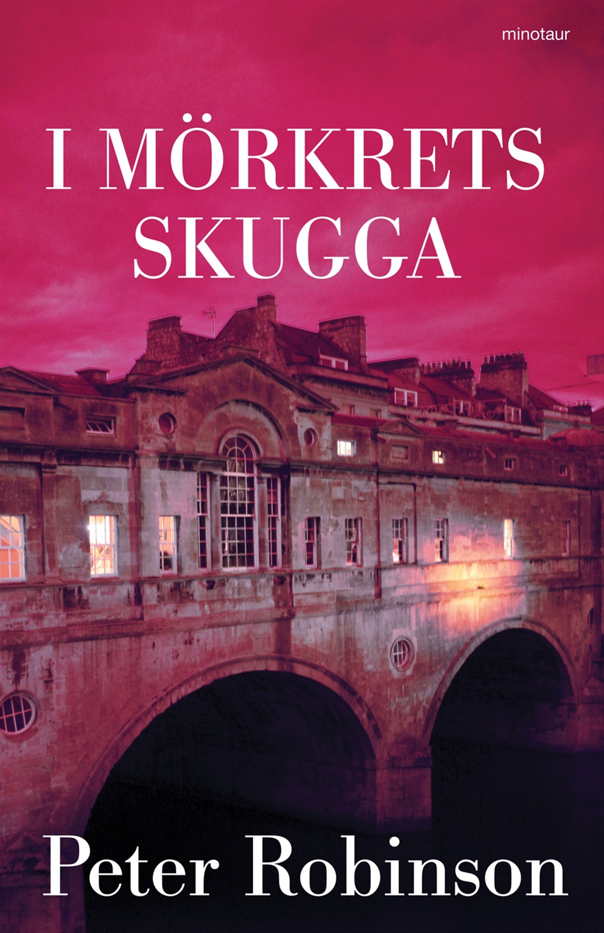 I mörkrets skugga – E-bok
