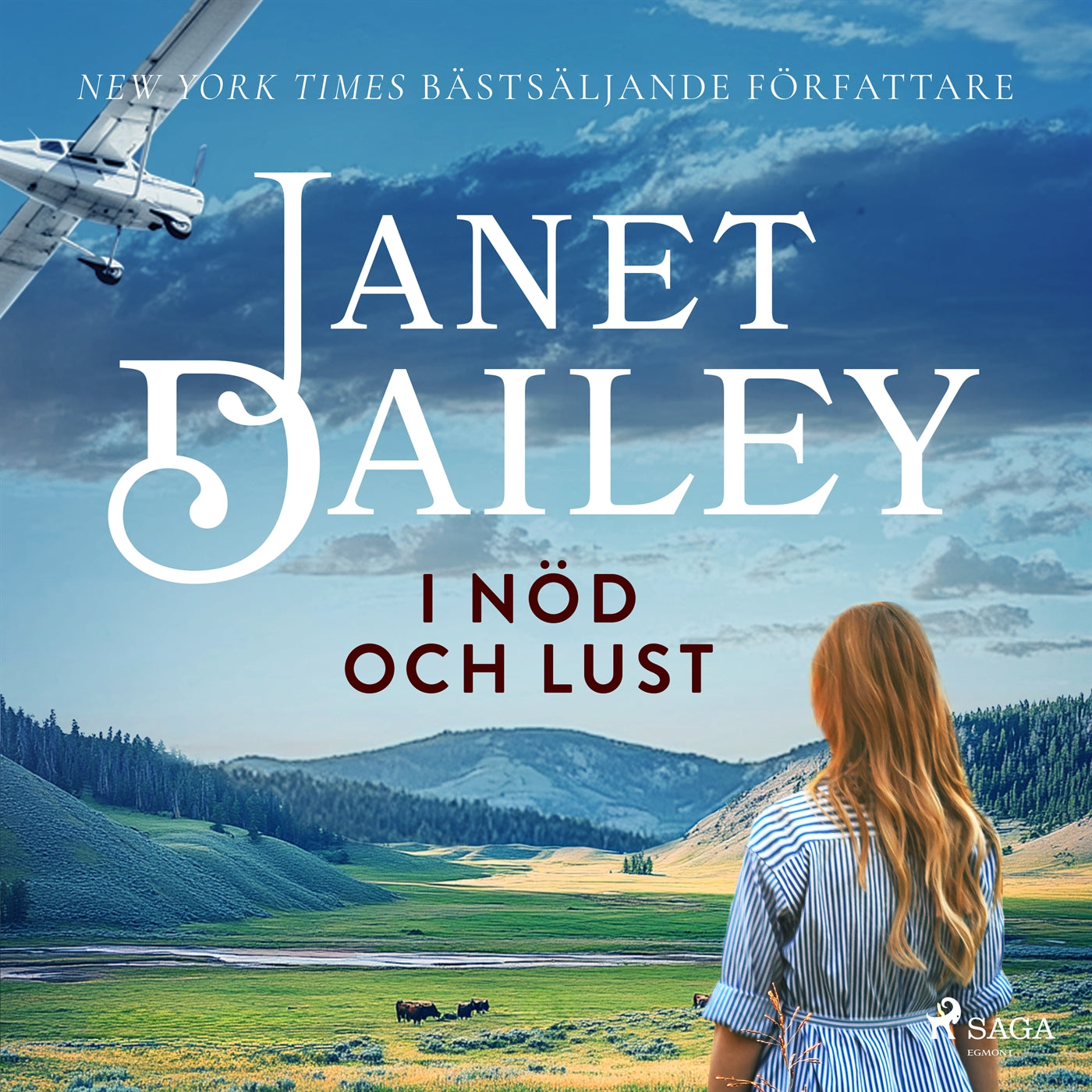 I nöd och lust – Ljudbok