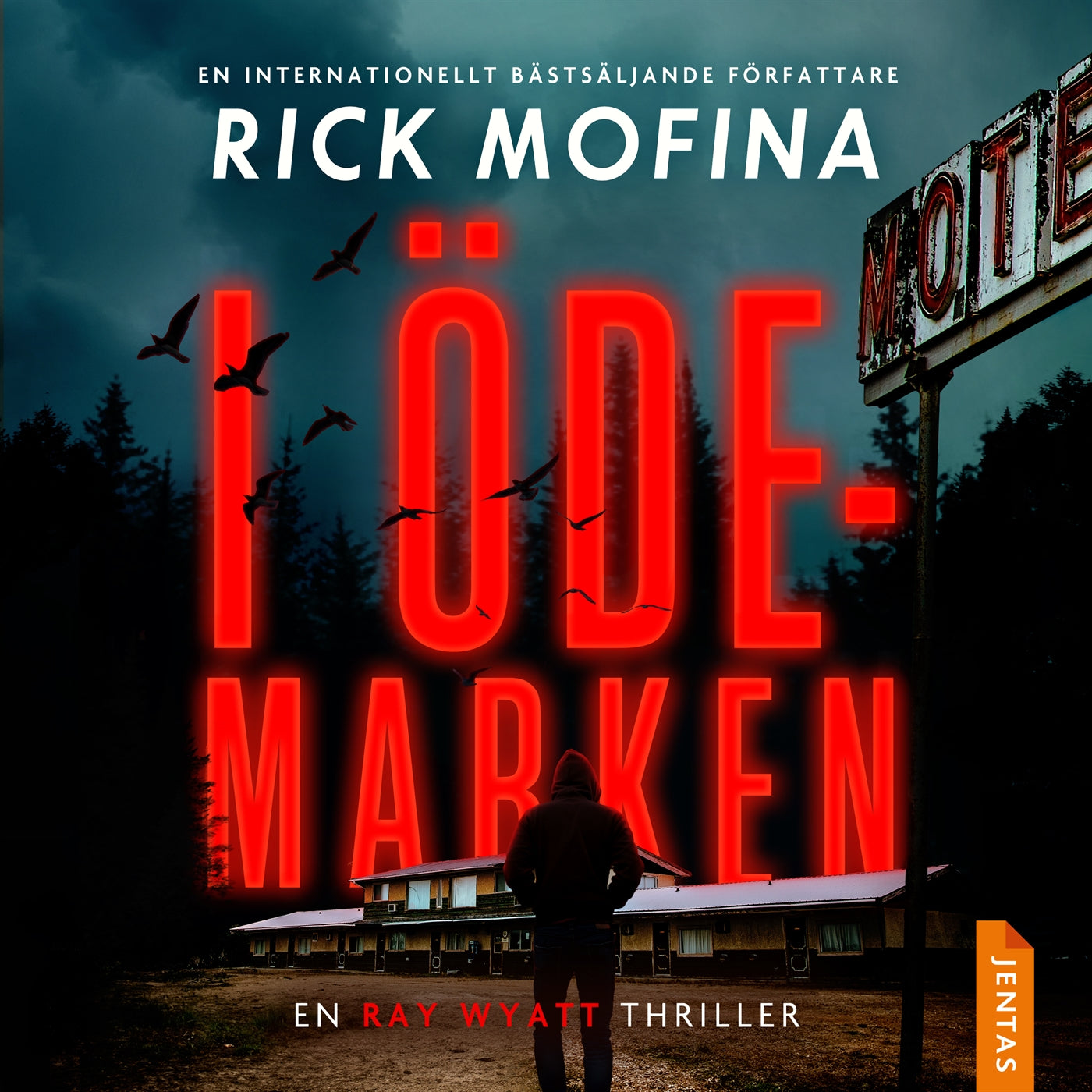 I ödemarken – Ljudbok