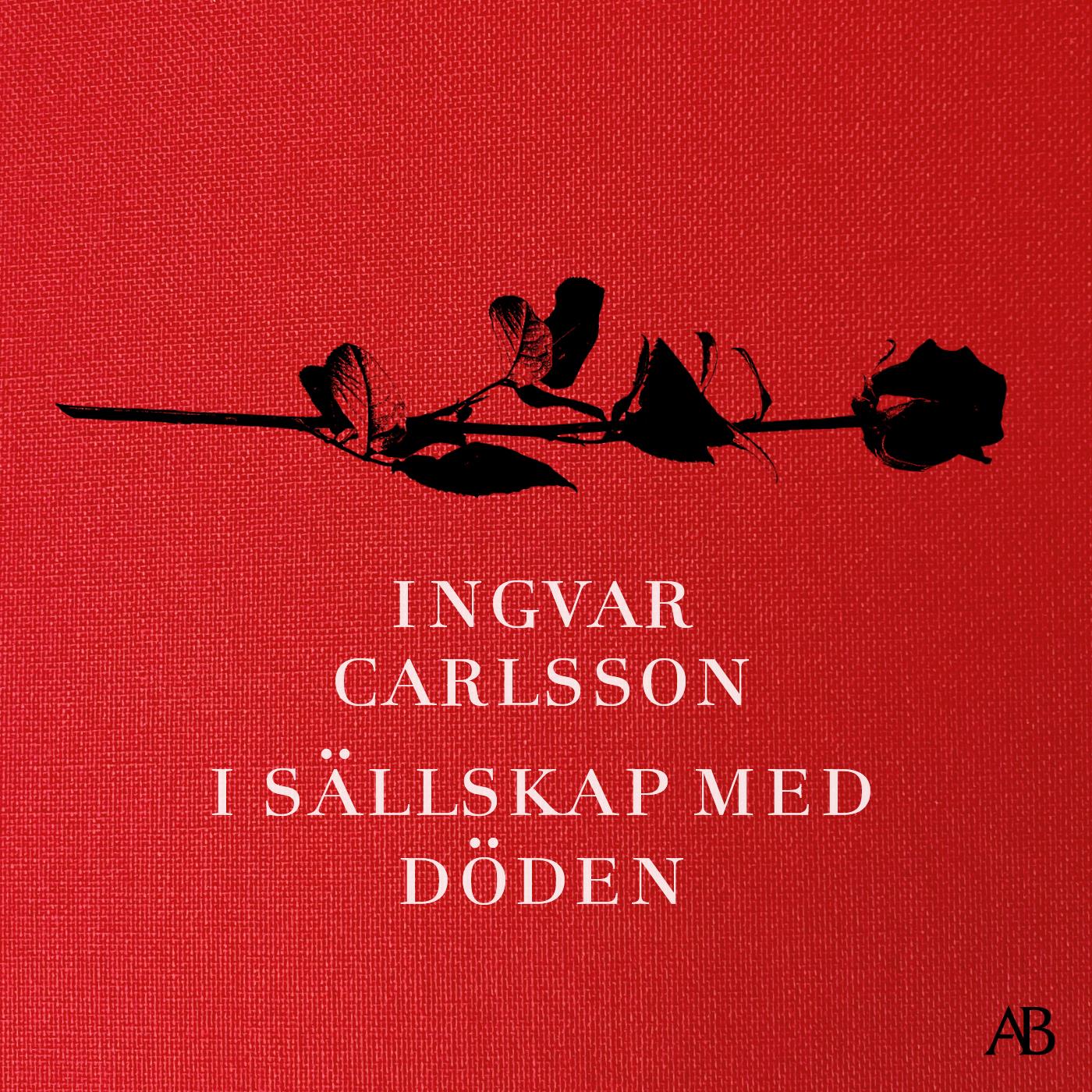 I sällskap med döden – Ljudbok