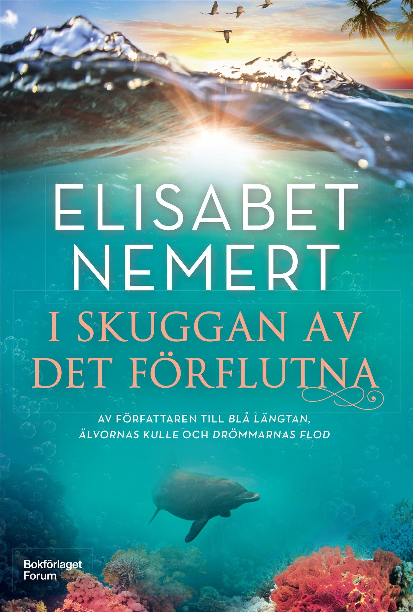 I skuggan av det förflutna – E-bok