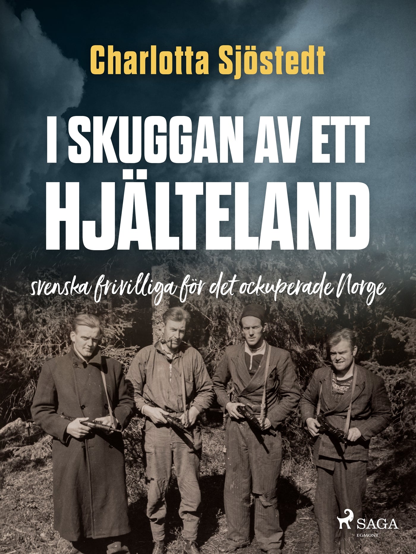 I skuggan av ett hjälteland – E-bok