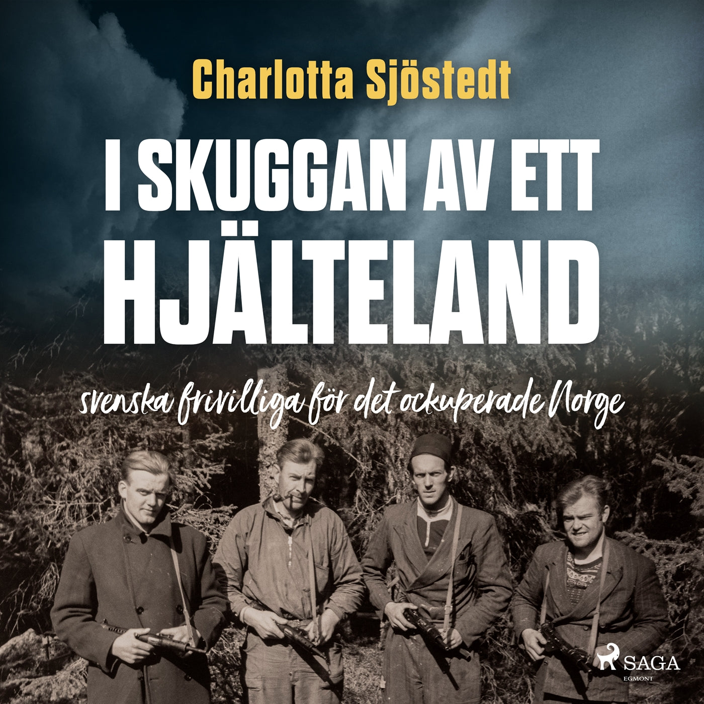 I skuggan av ett hjälteland – Ljudbok