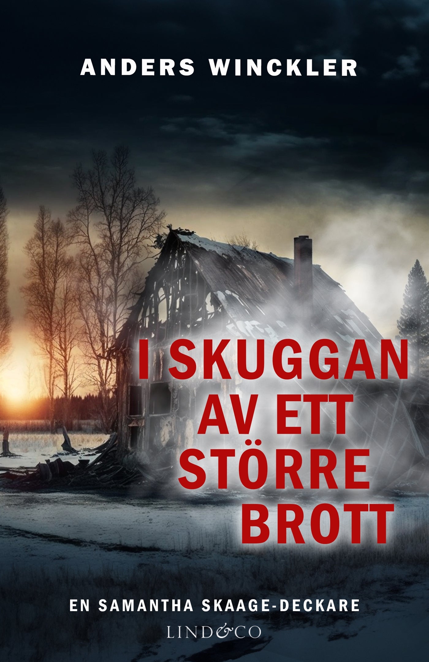 I skuggan av ett större brott – E-bok