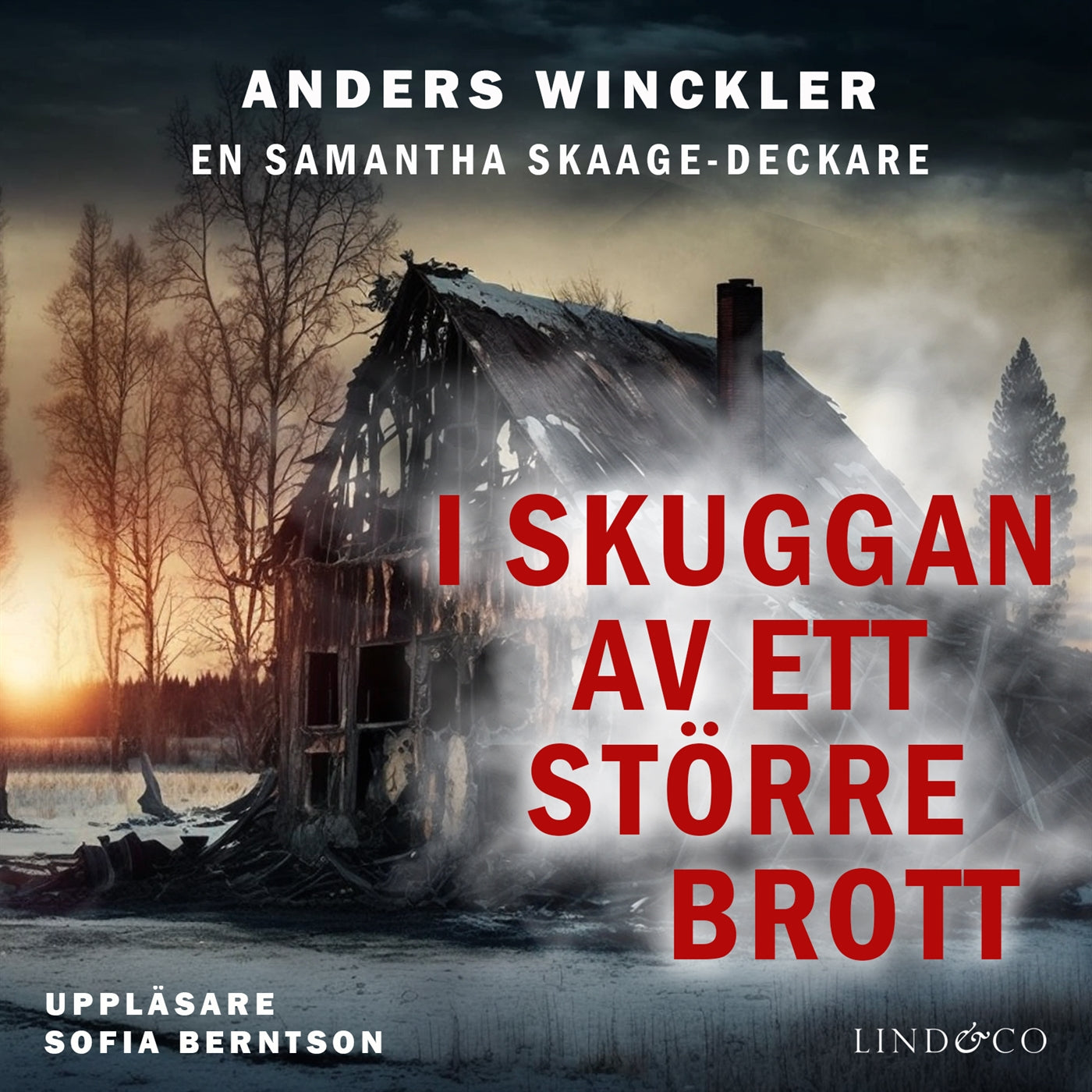 I skuggan av ett större brott – Ljudbok