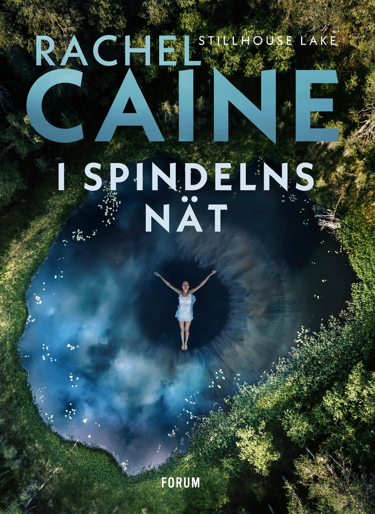 I spindelns nät – E-bok