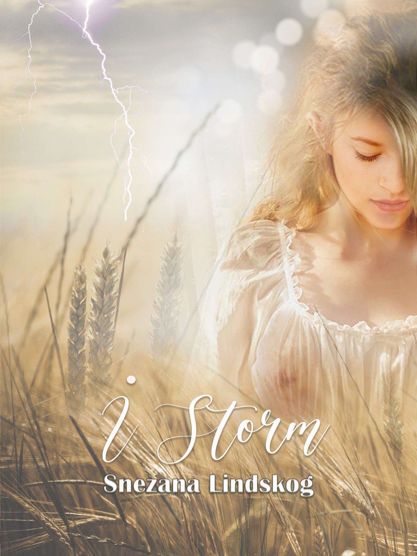 I storm - Erotisk romance-novell – E-bok