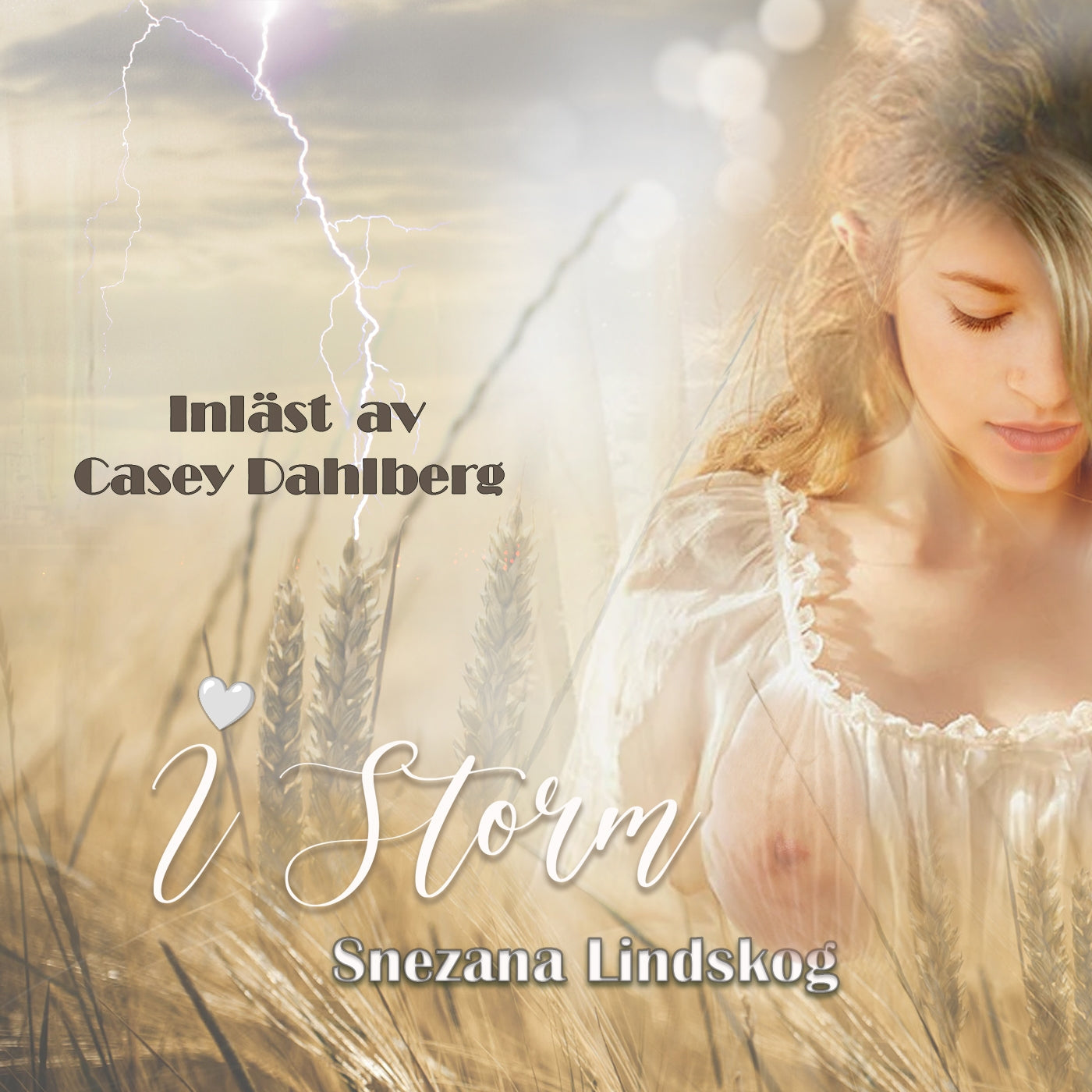 I storm - Historisk erotisk novell – Ljudbok
