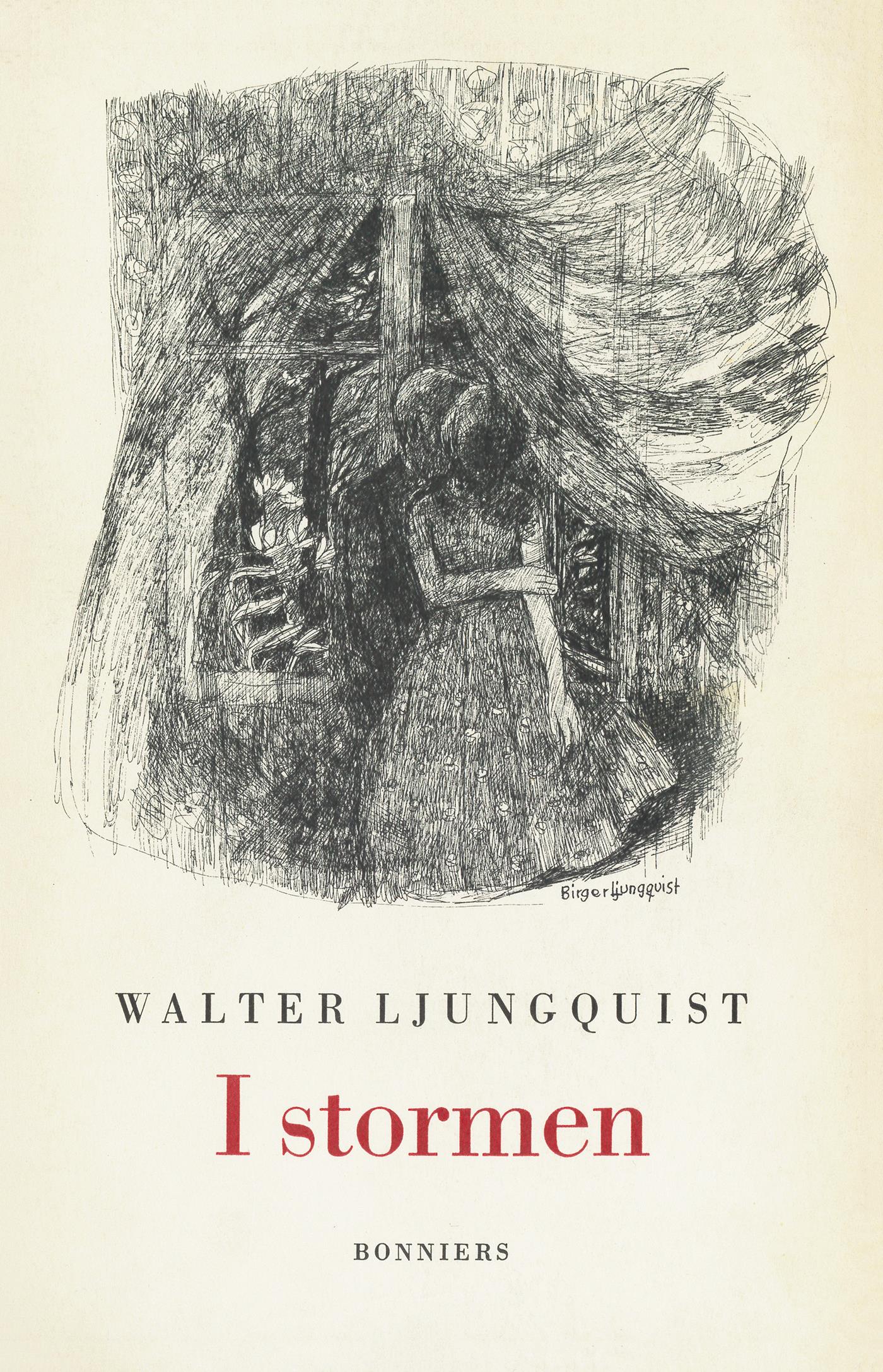 I stormen – E-bok
