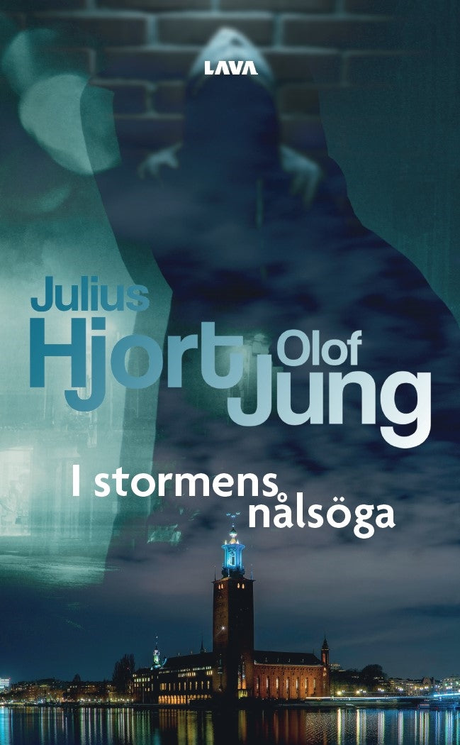 I stormens nålsöga – E-bok