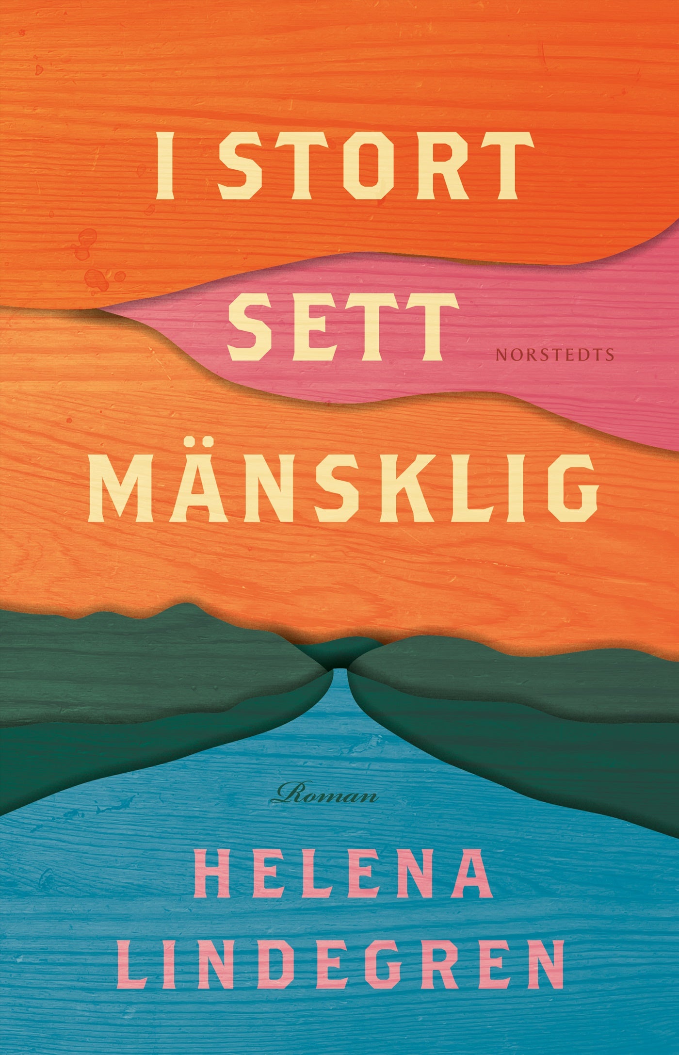 I stort sett mänsklig – E-bok