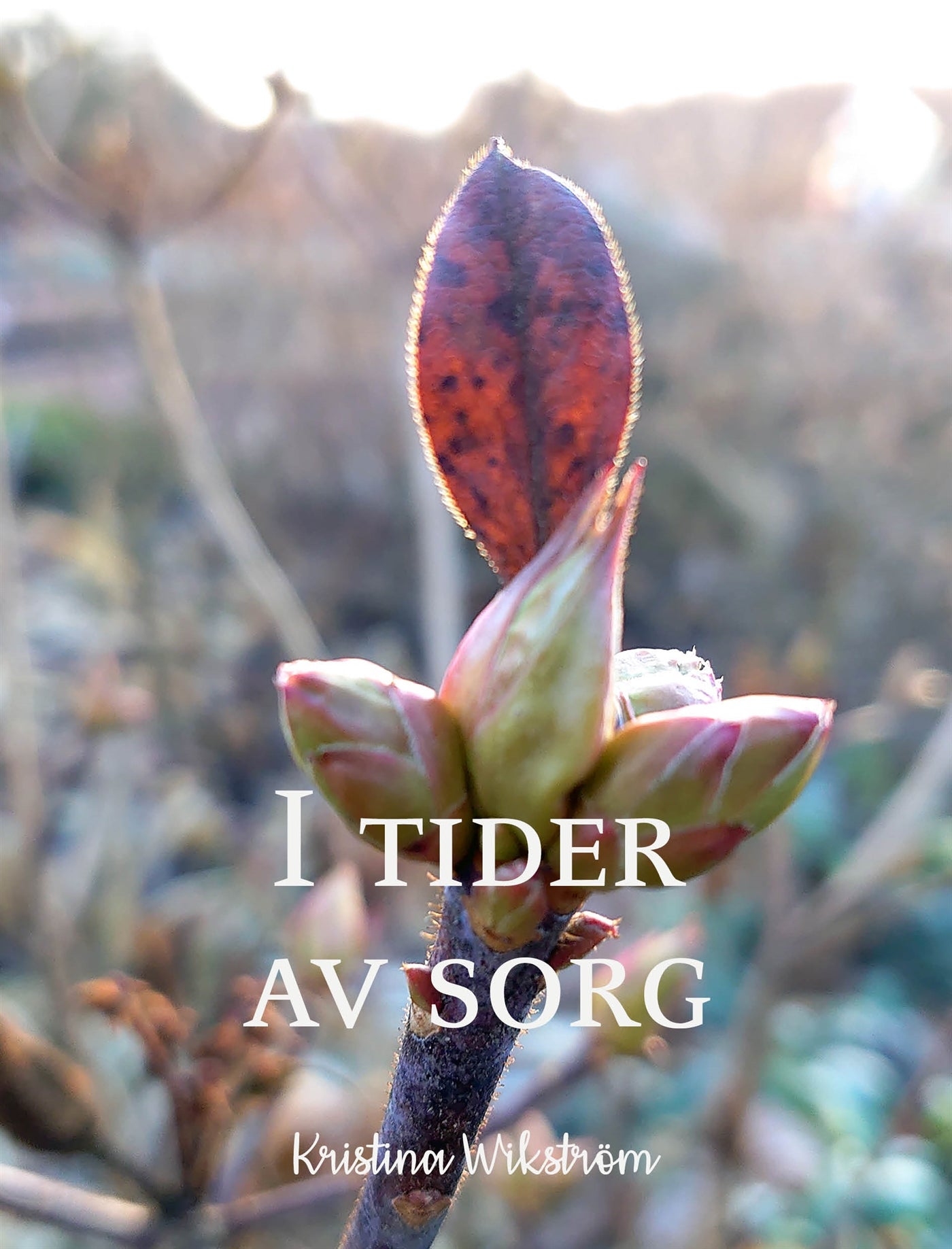 I tider av sorg – E-bok