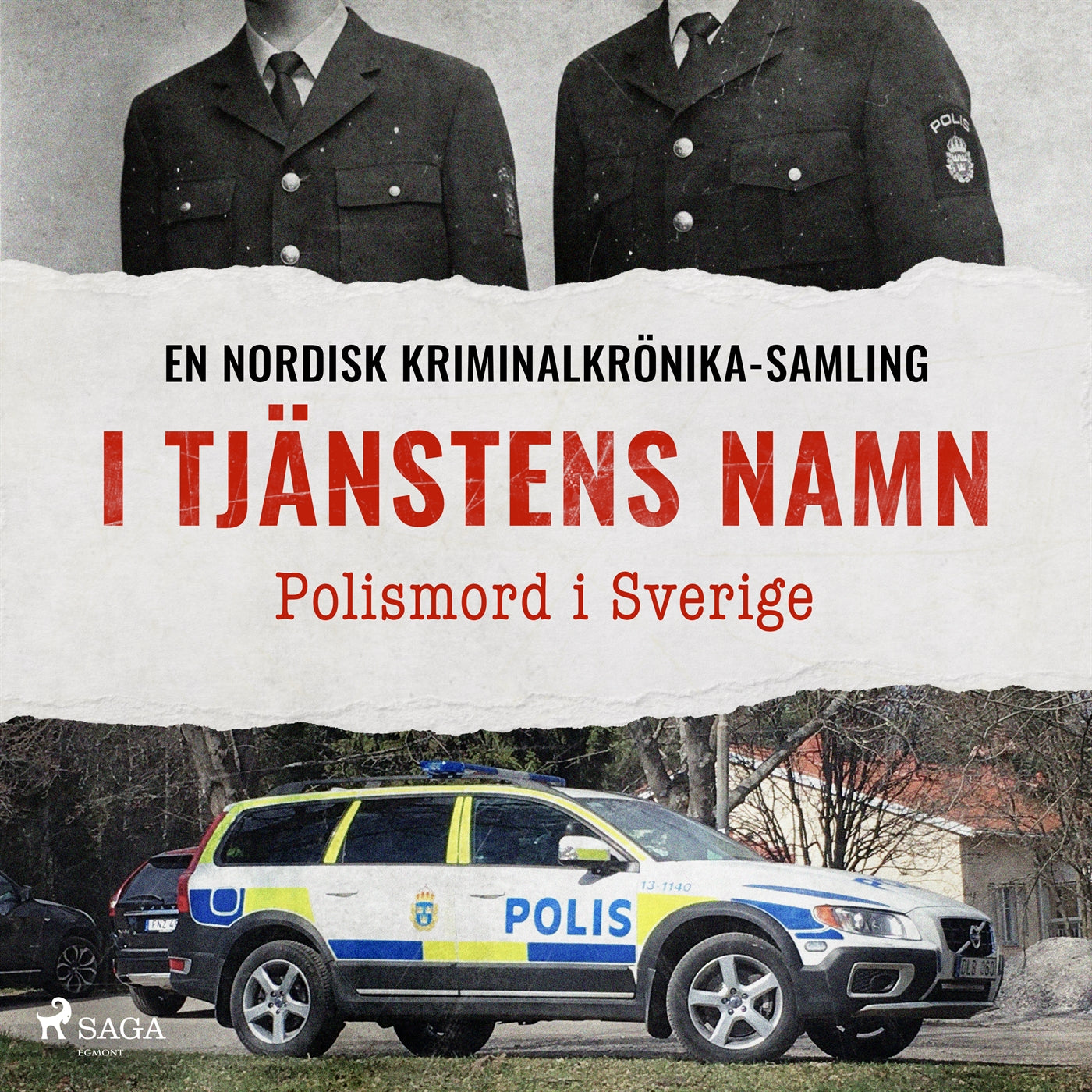 I tjänstens namn – Polismord i Sverige – Ljudbok