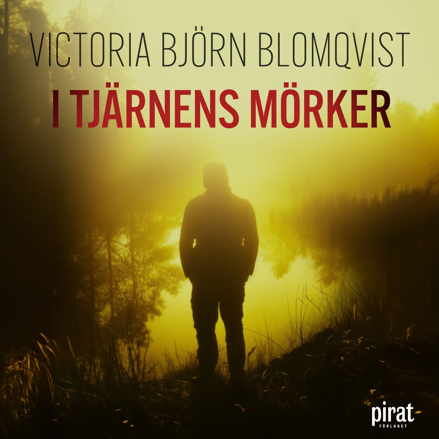 I tjärnens mörker – Ljudbok