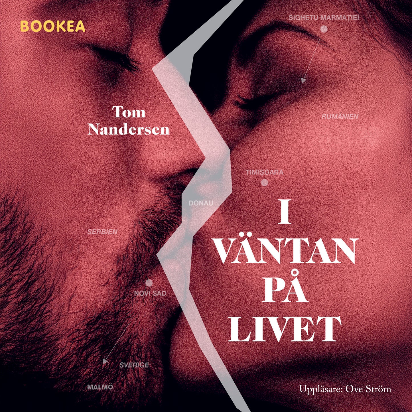I väntan på livet – Ljudbok
