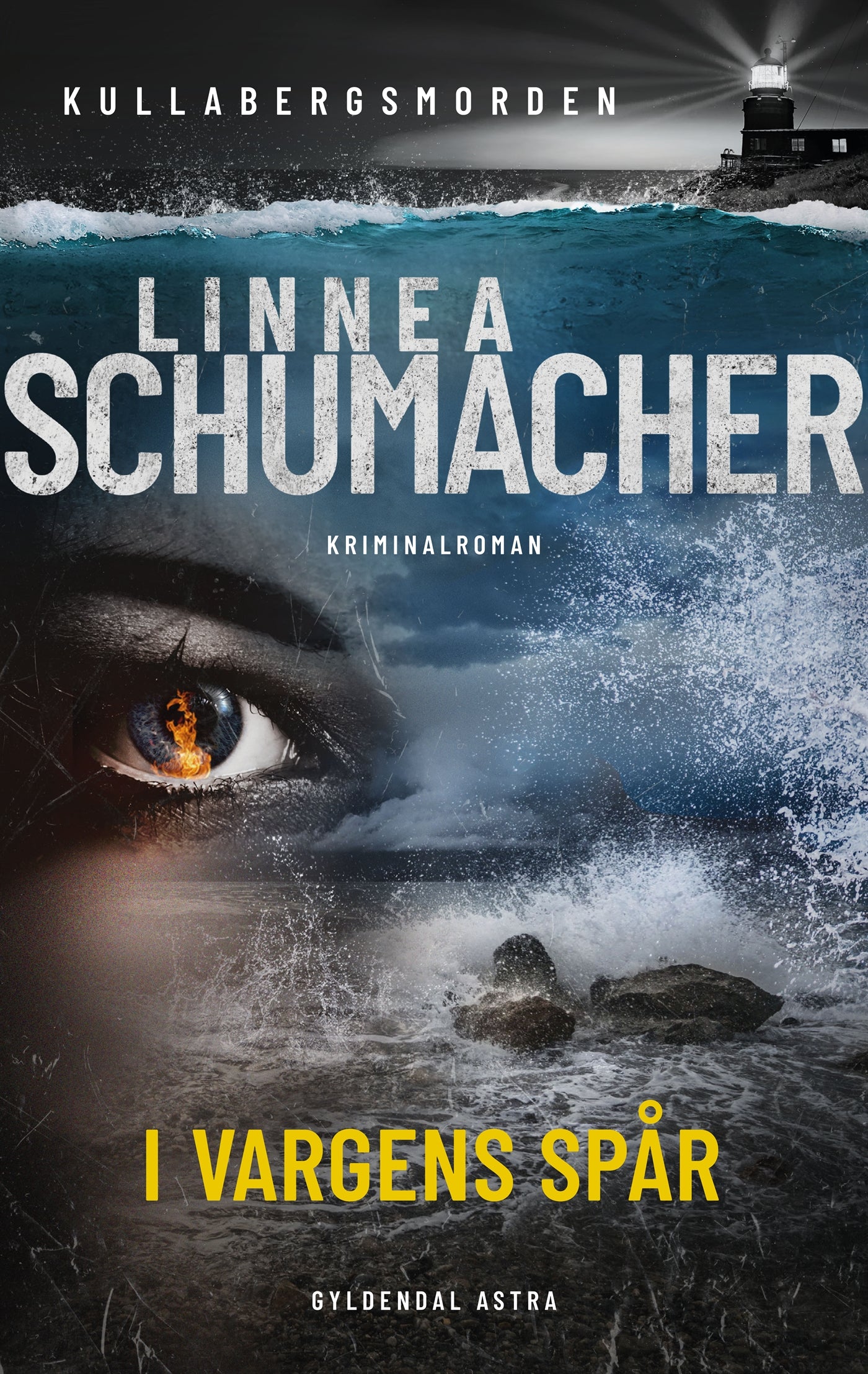 I vargens spår – E-bok