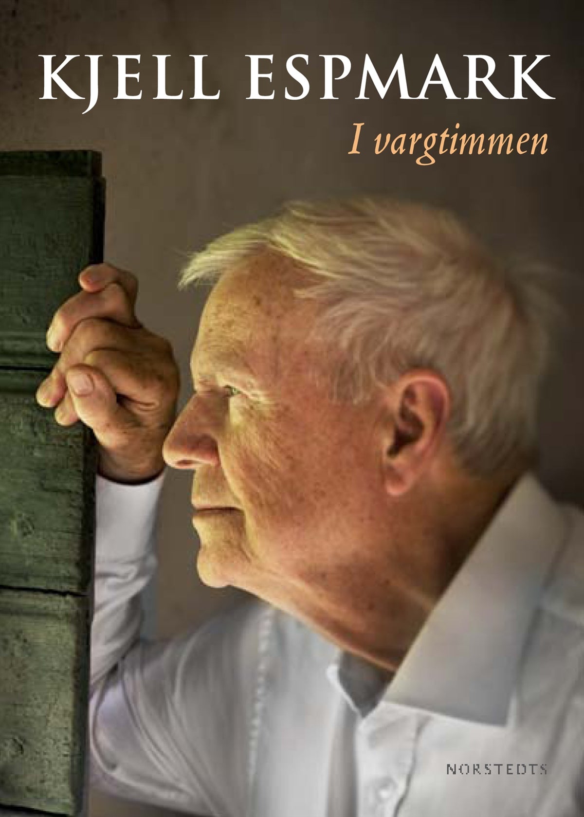 I vargtimmen – E-bok