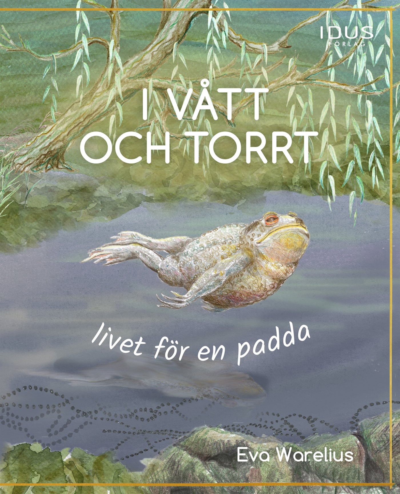 I vått och torrt : livet för en padda – E-bok