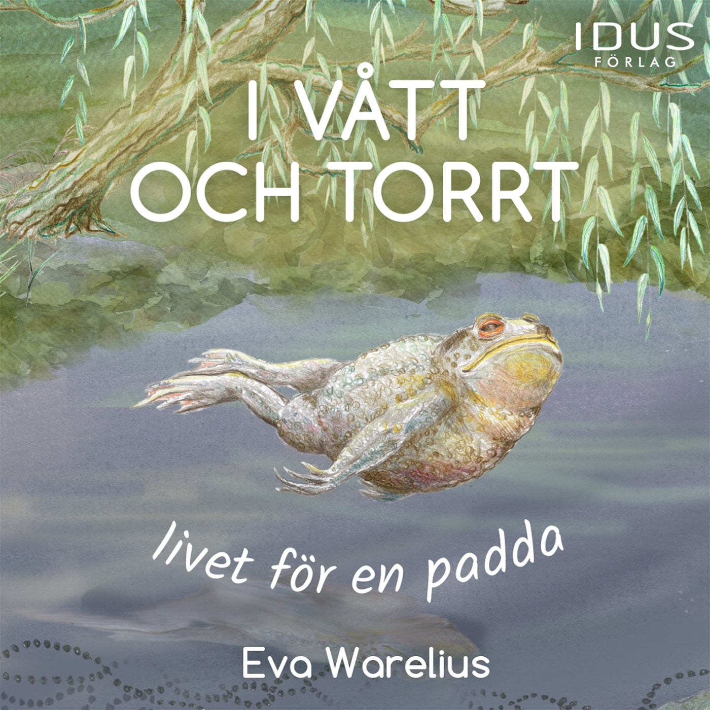 I vått och torrt : livet för en padda – Ljudbok