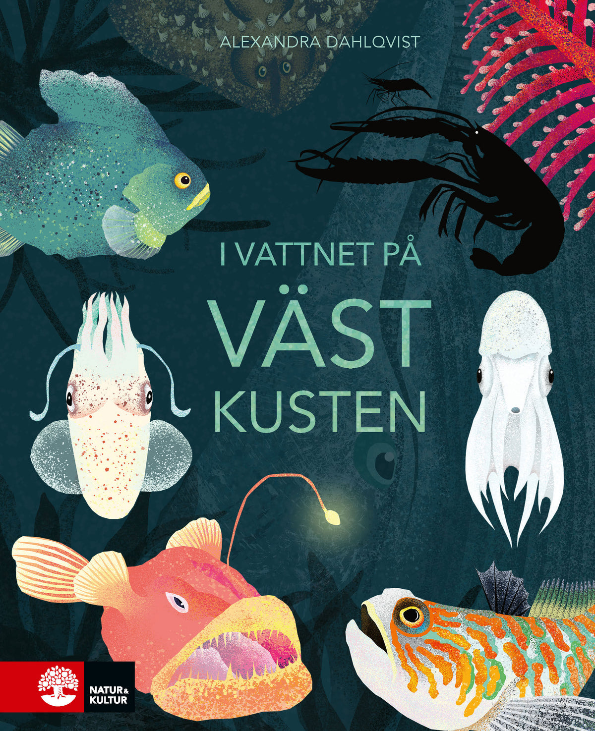 I vattnet på västkusten – E-bok