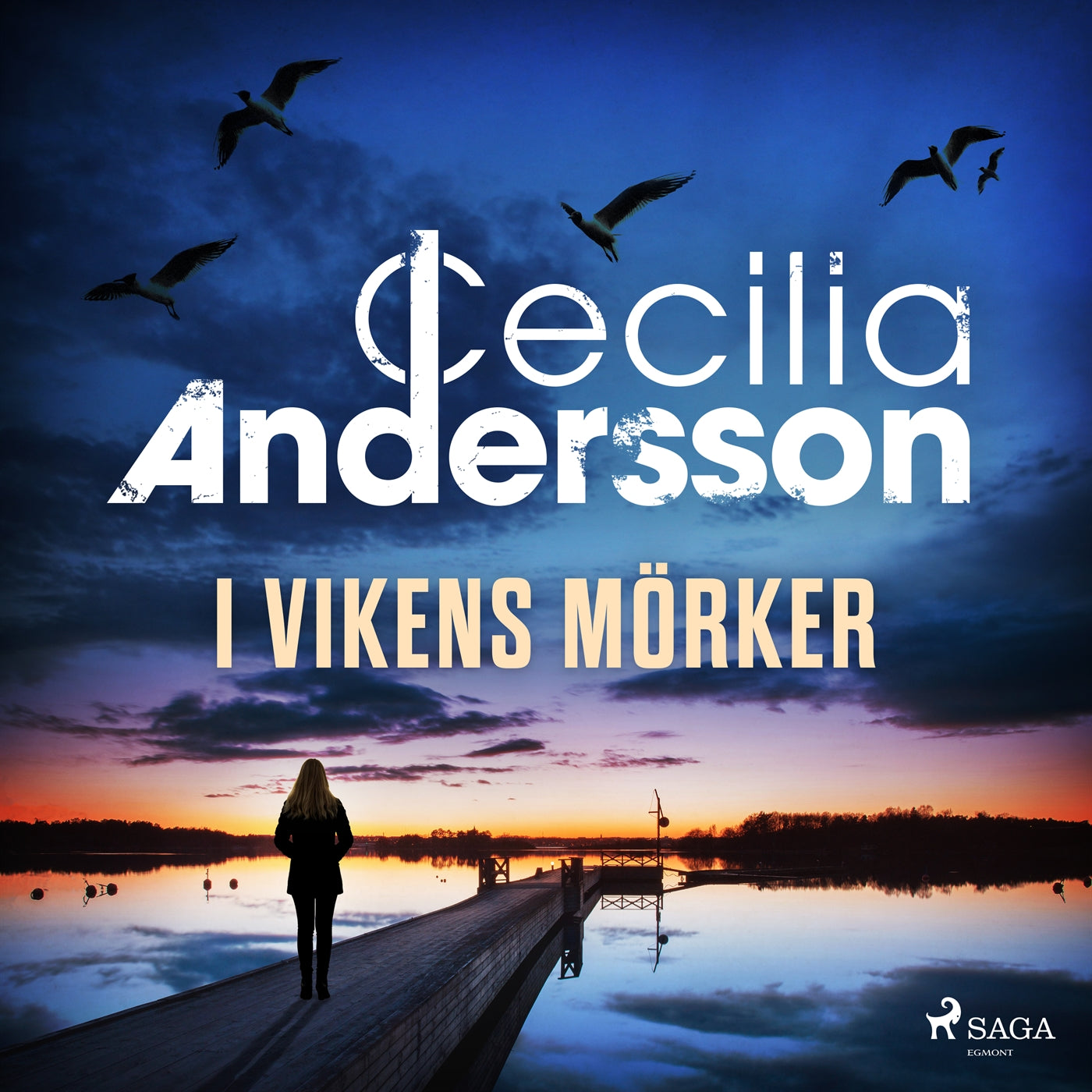 I vikens mörker – Ljudbok