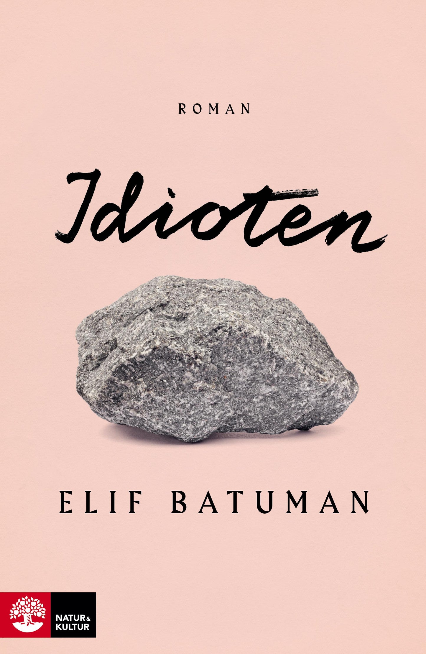 Idioten – E-bok