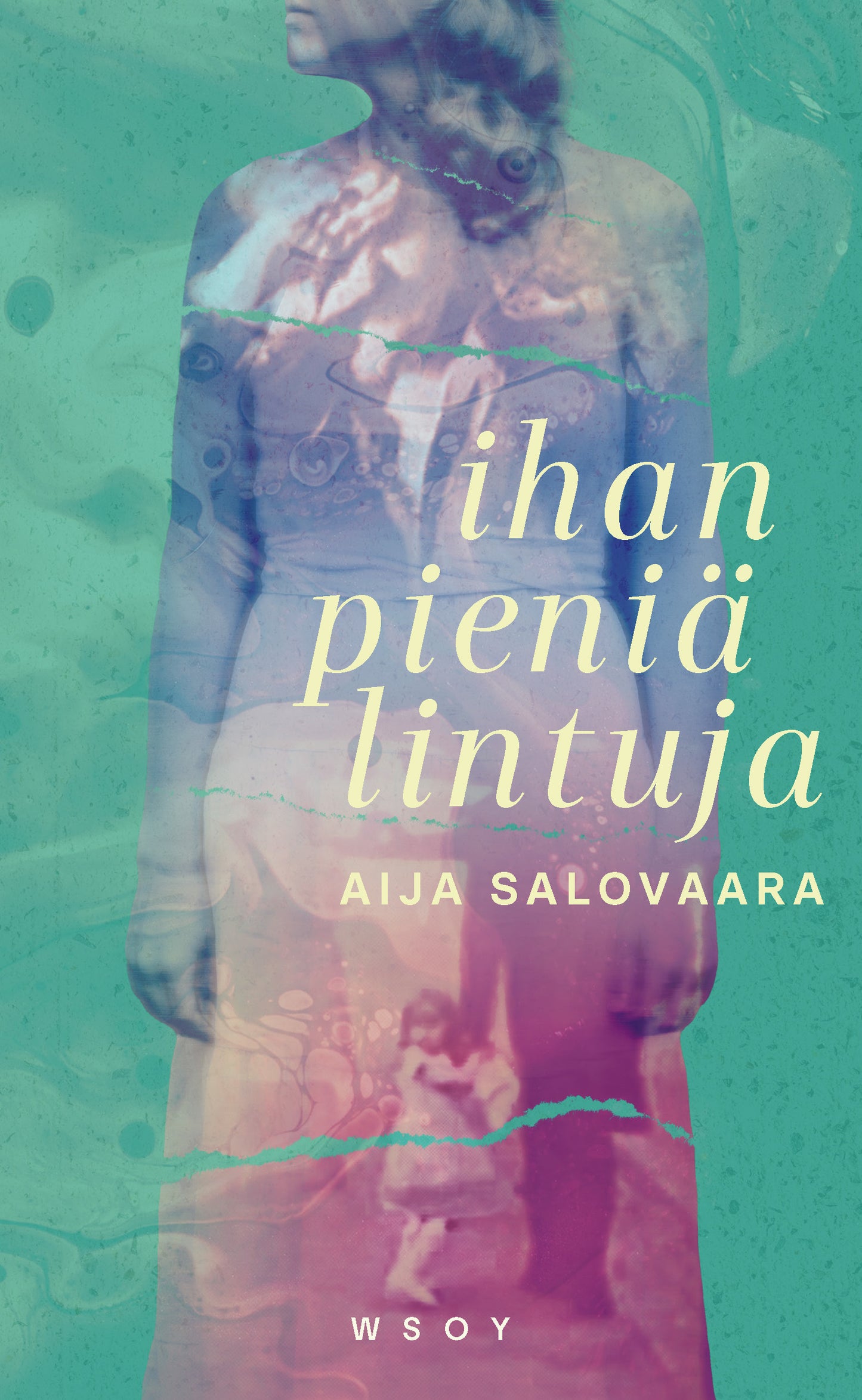 Ihan pieniä lintuja – E-bok