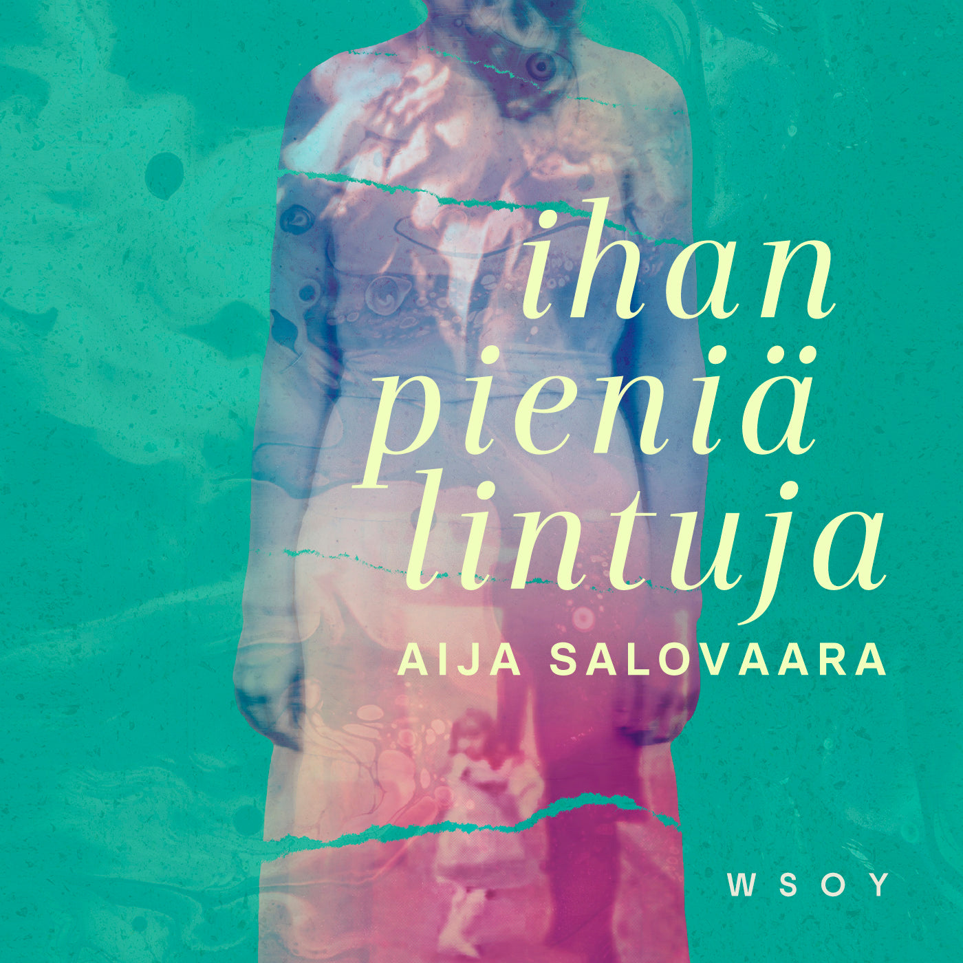 Ihan pieniä lintuja – Ljudbok