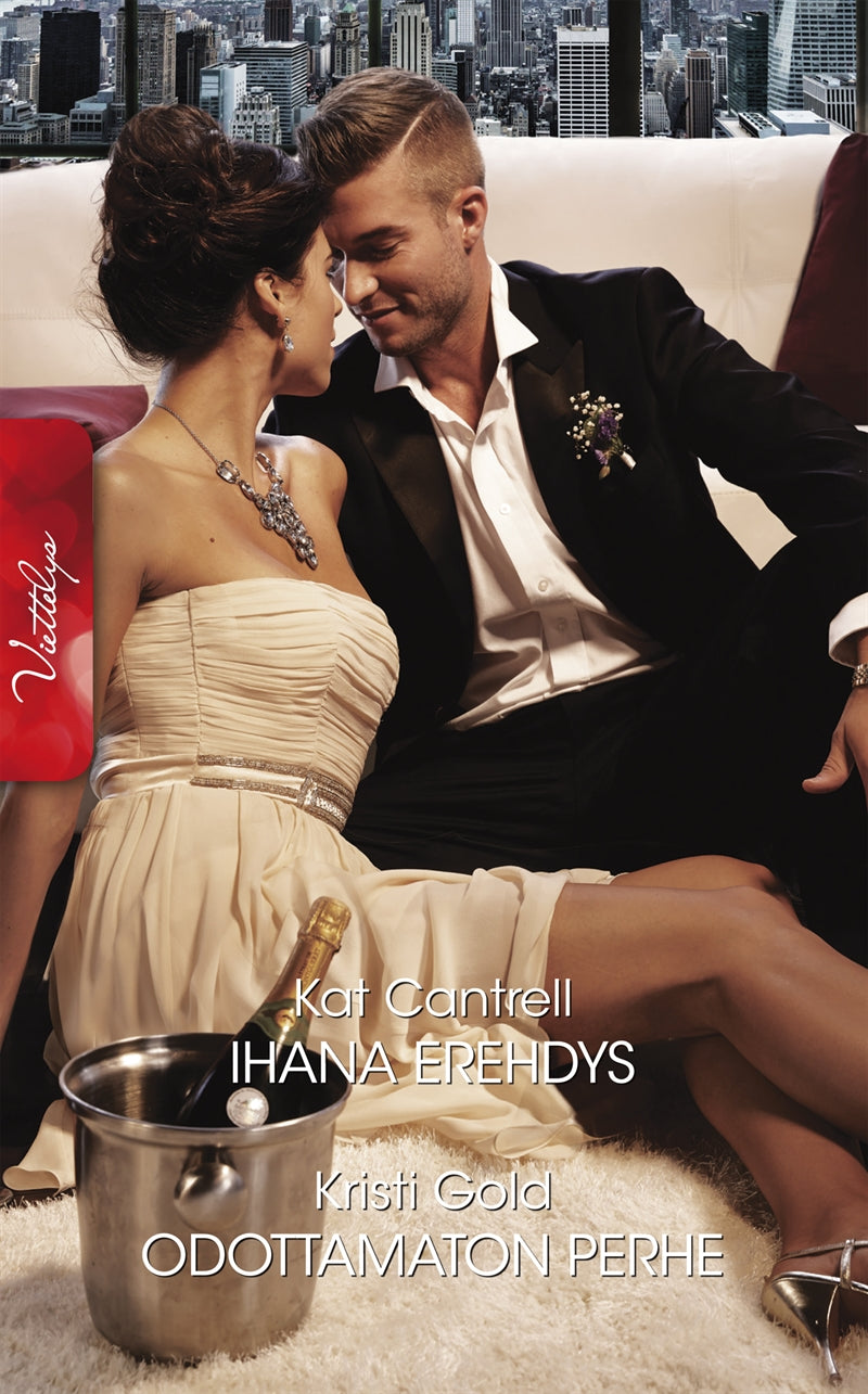 Ihana erehdys / Odottamaton perhe – E-bok
