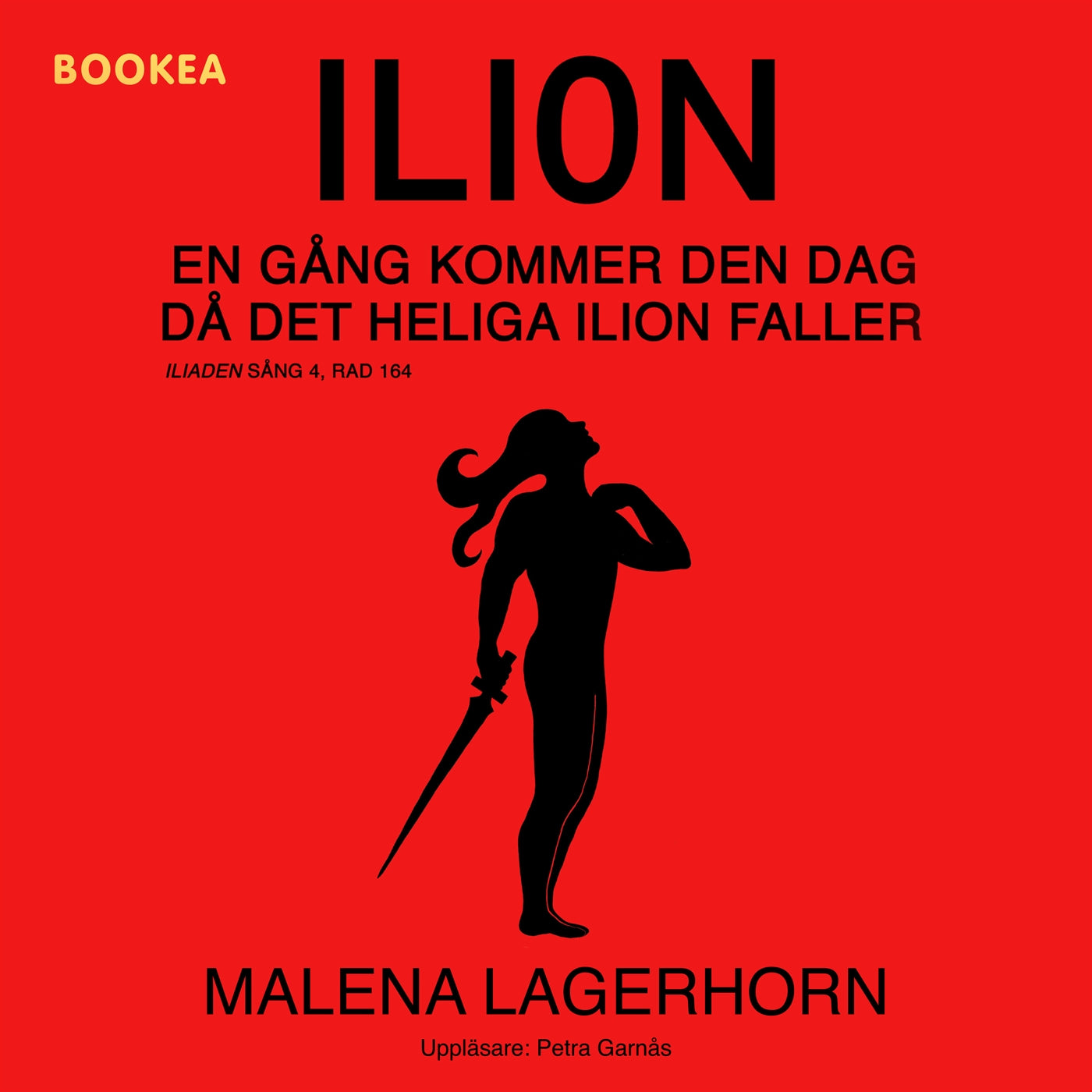 Ilion : en gång kommer den dag då det heliga Ilion faller – Ljudbok