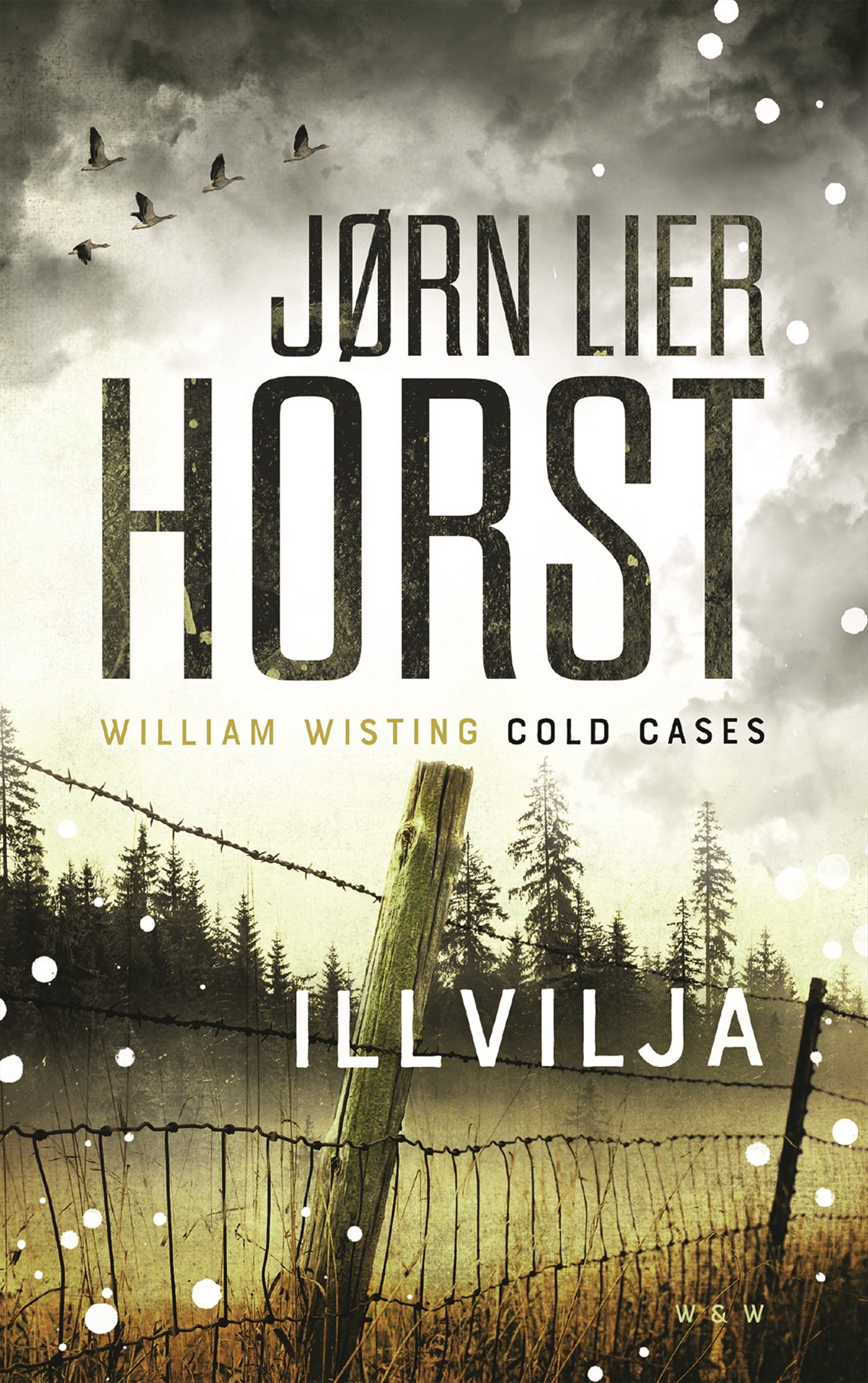 Illvilja – E-bok