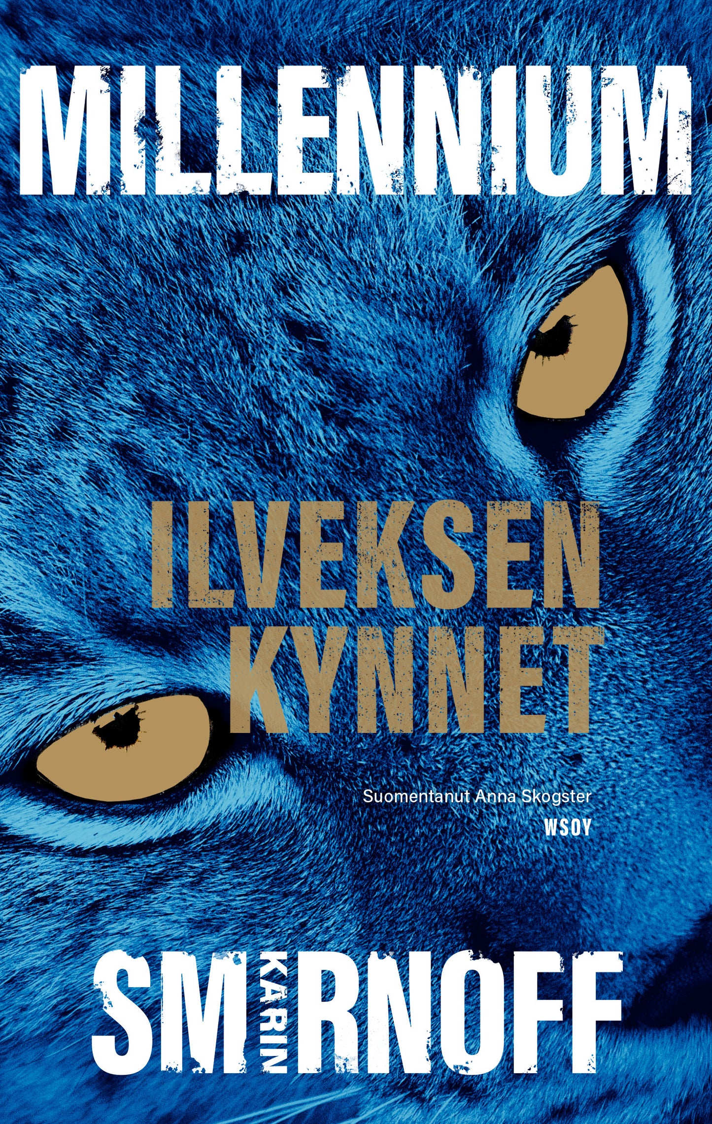Ilveksen kynnet – E-bok