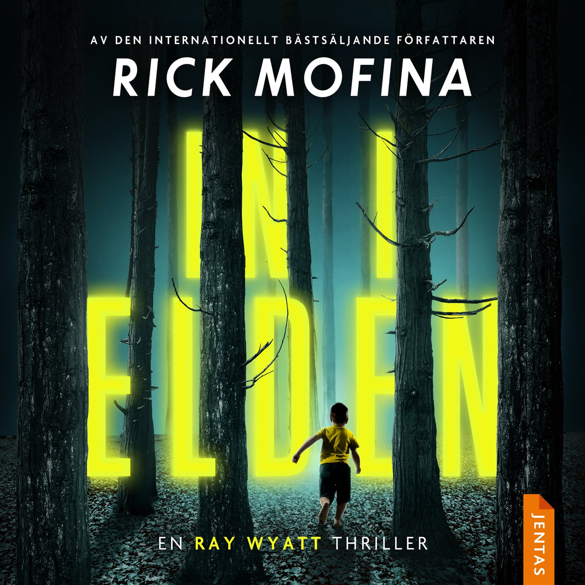 In i elden – Ljudbok
