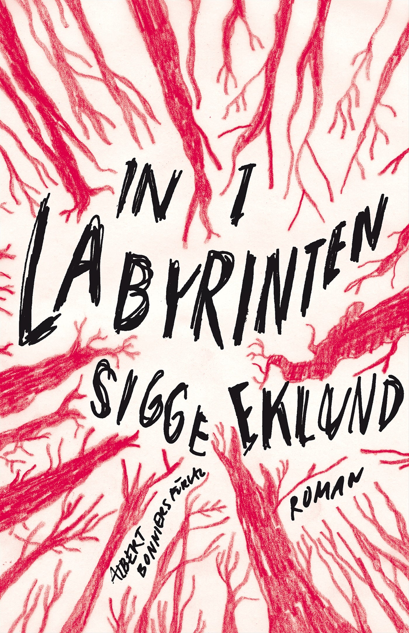 In i labyrinten – E-bok