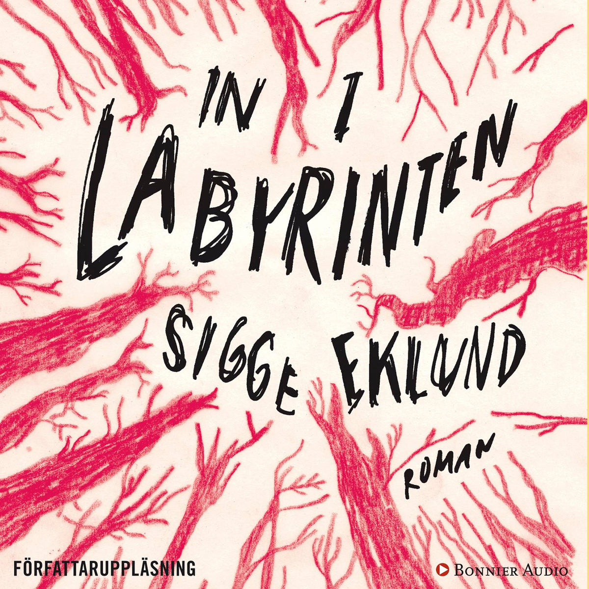 In i labyrinten – Ljudbok