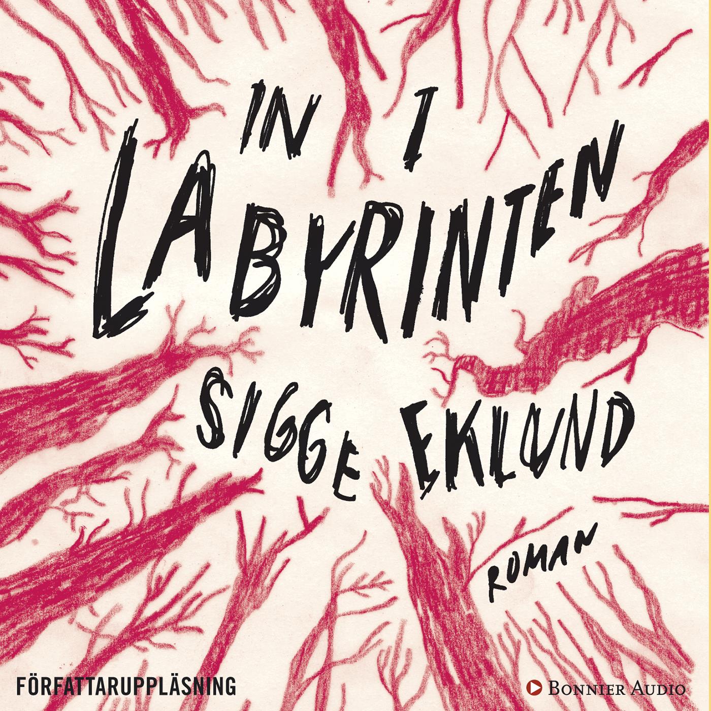 In i labyrinten – Ljudbok