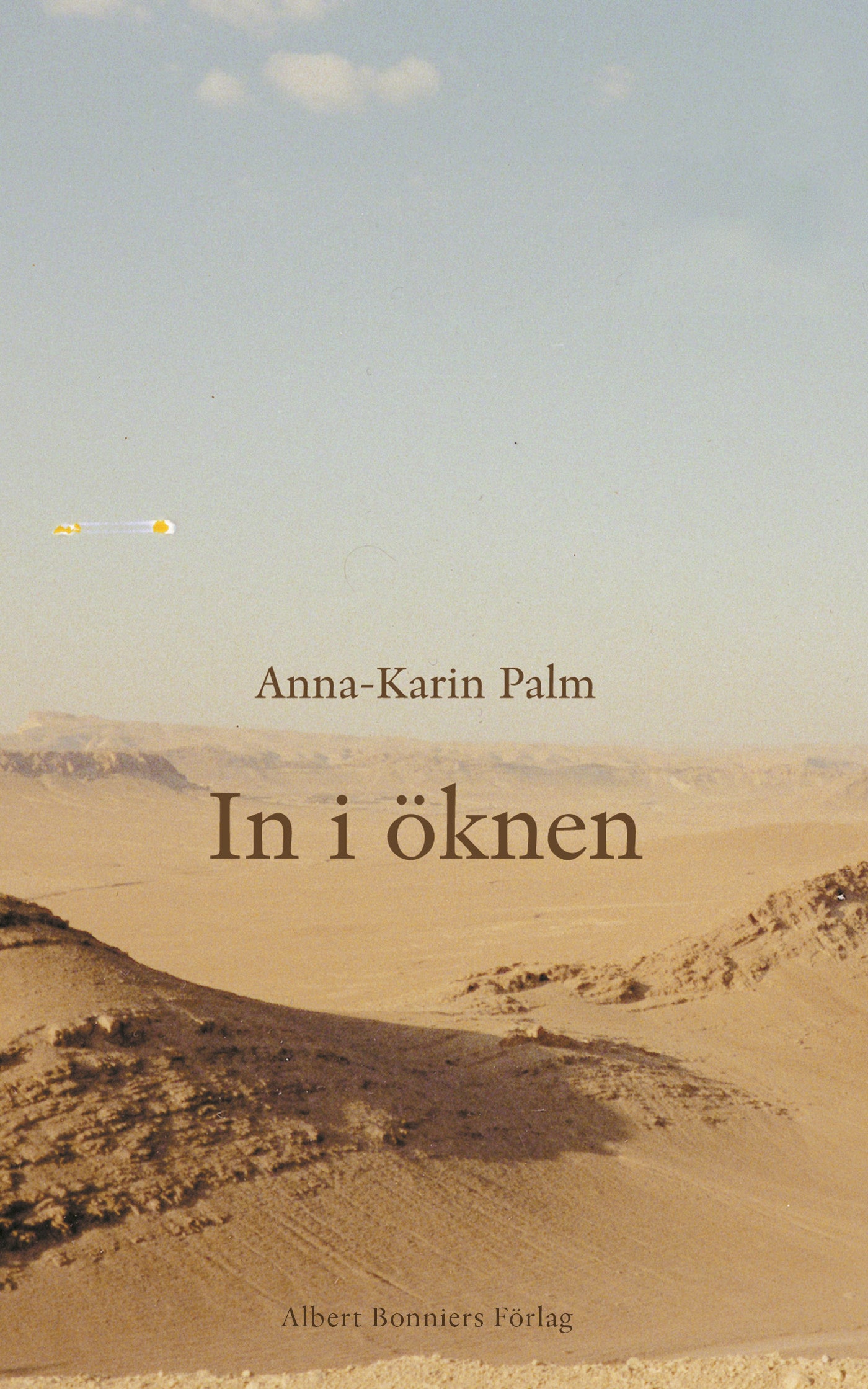 In i öknen – E-bok