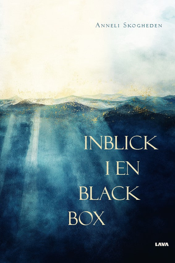 Inblick i en black box – E-bok