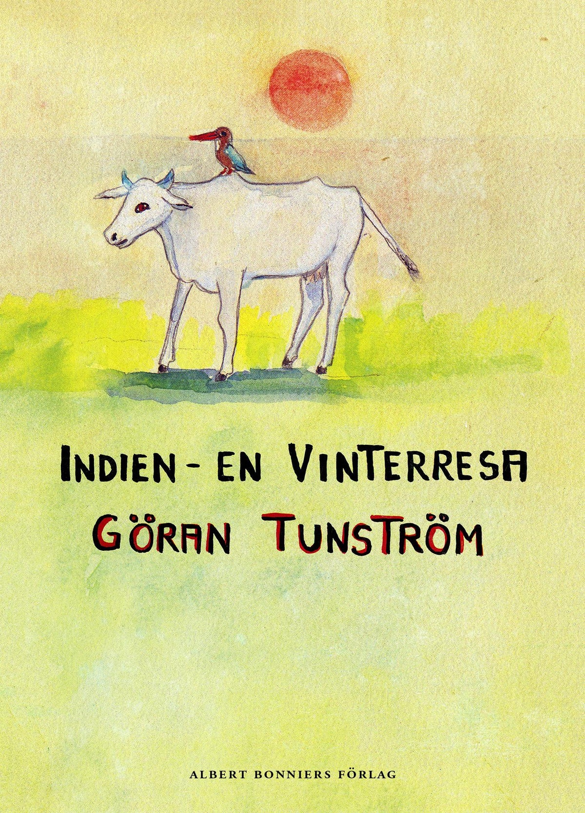 Indien : en vinterresa – E-bok