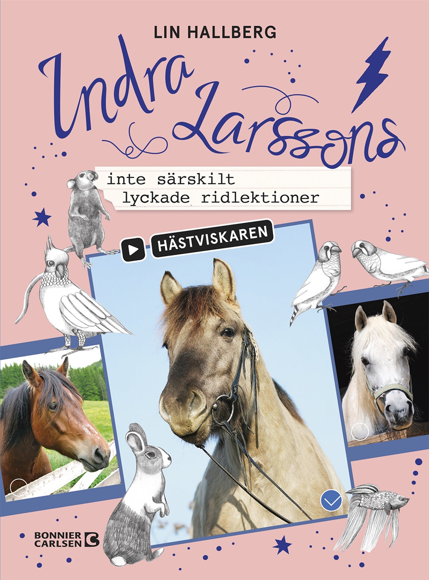 Indra Larssons inte särskilt lyckade ridlektioner – E-bok