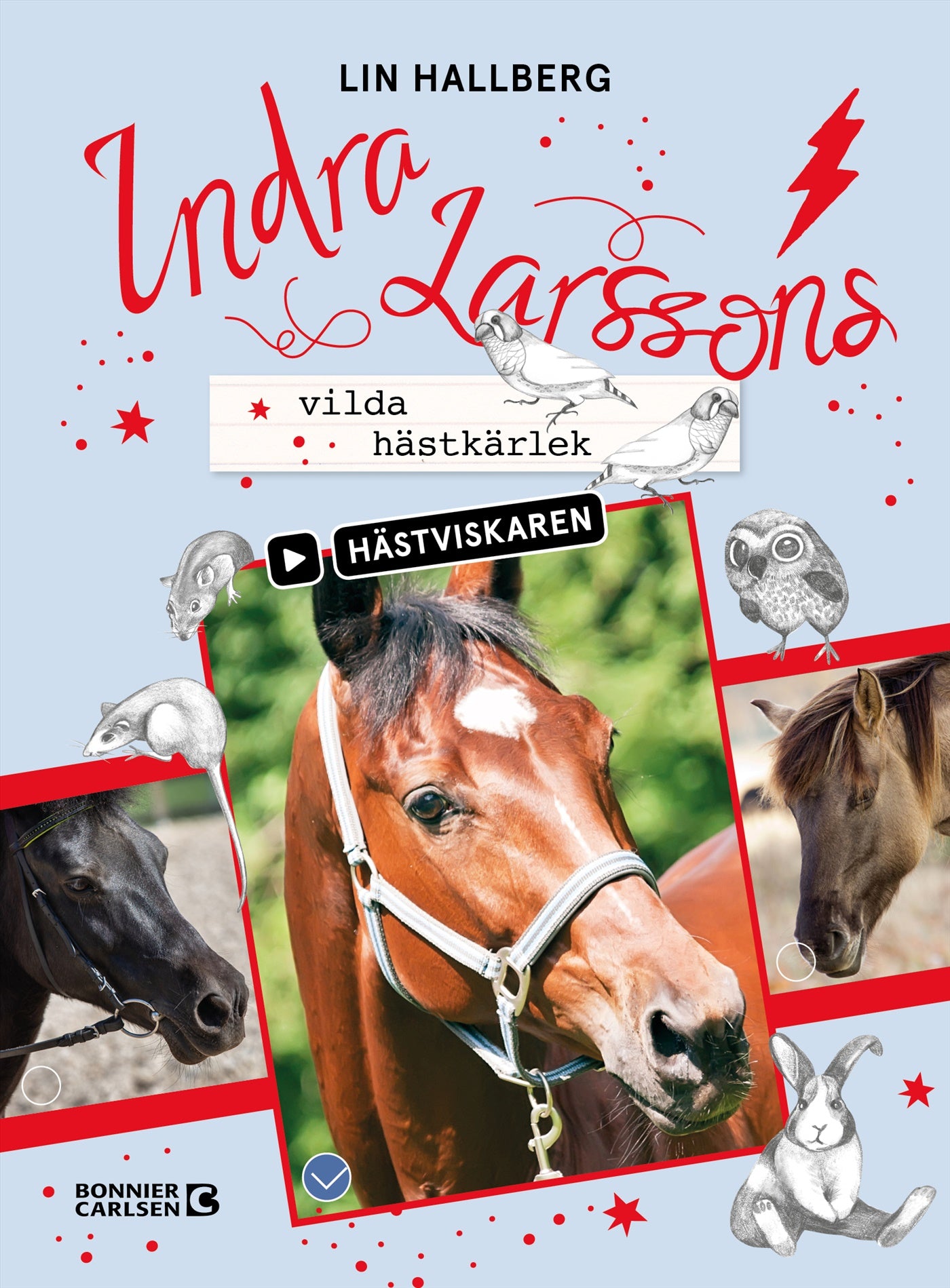 Indra Larssons vilda hästkärlek – E-bok