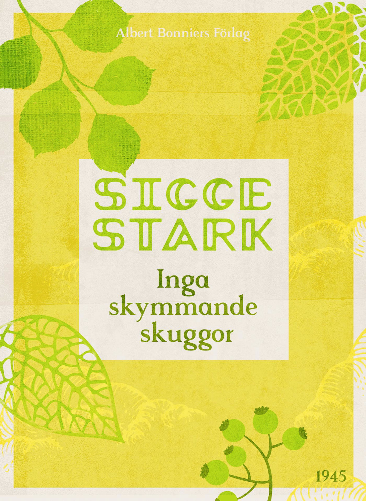 Inga skymmande skuggor – E-bok