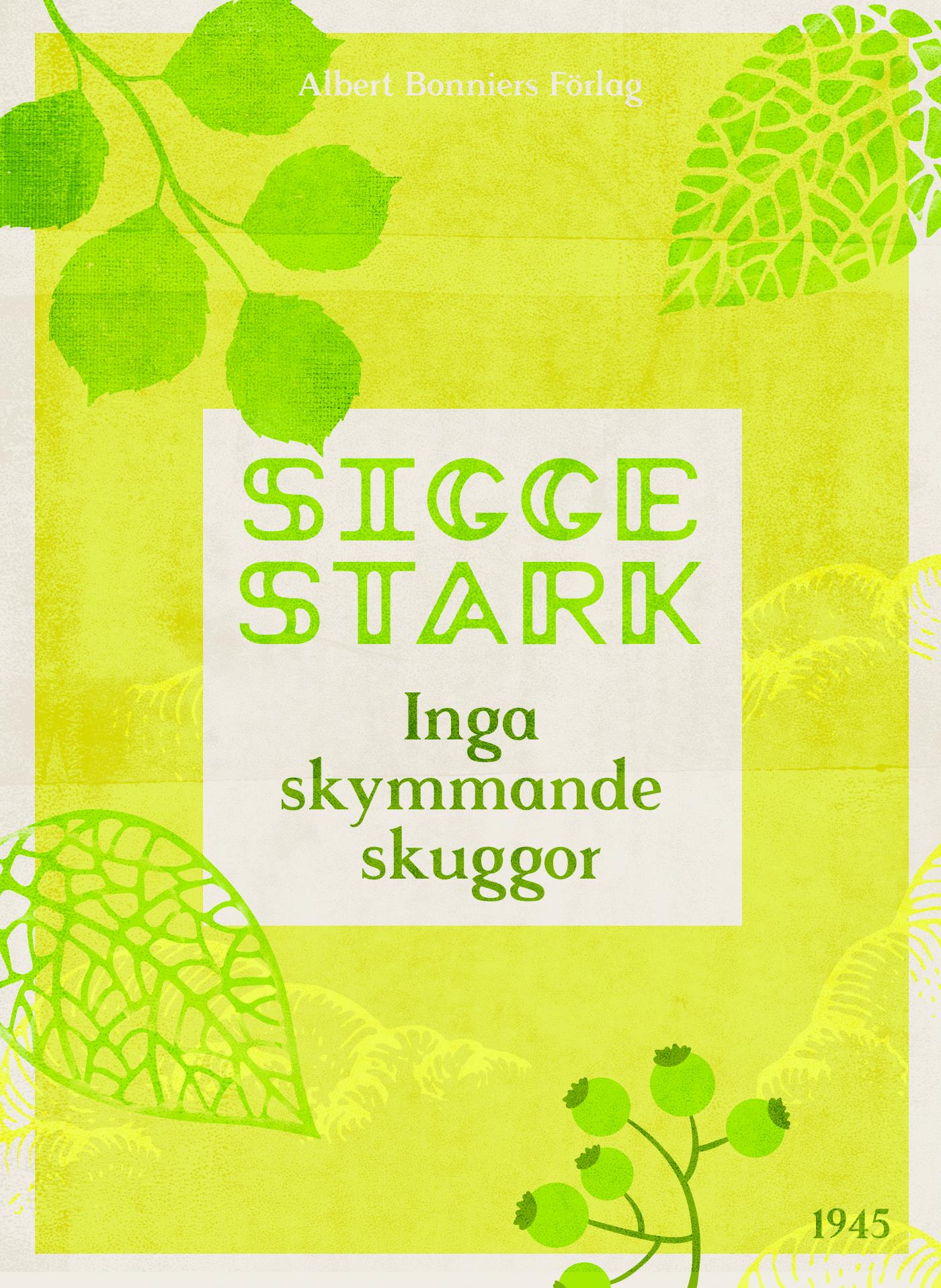 Inga skymmande skuggor – E-bok