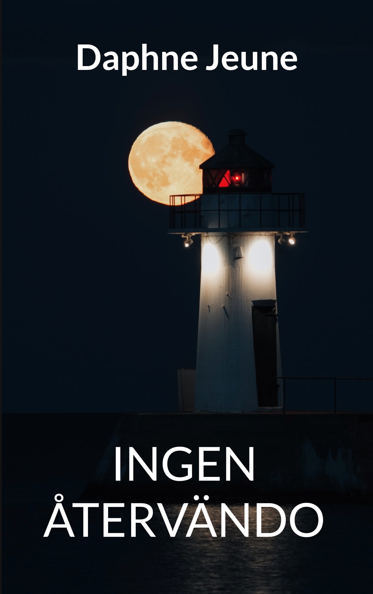 Ingen återvändo – E-bok
