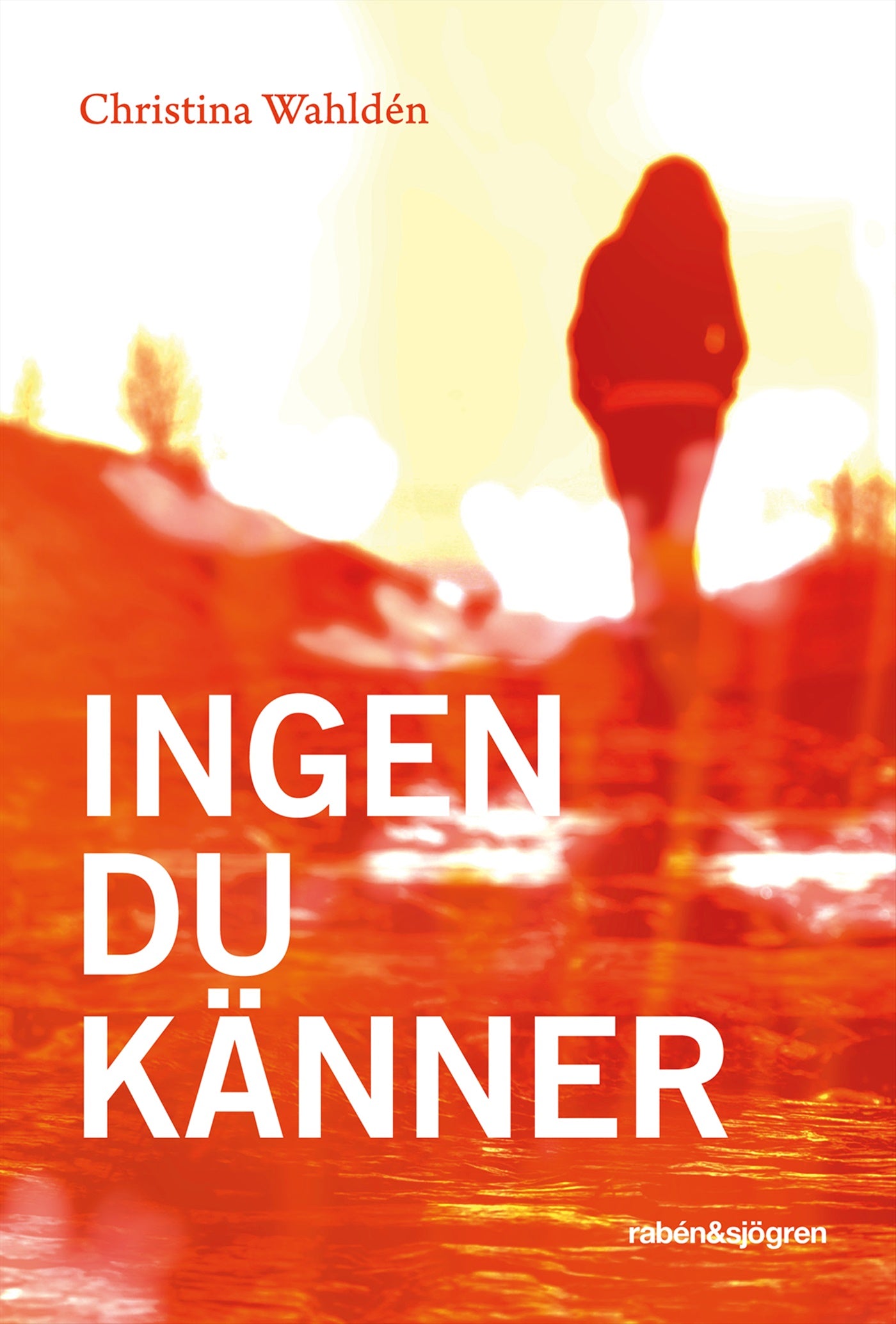 Ingen du känner – E-bok