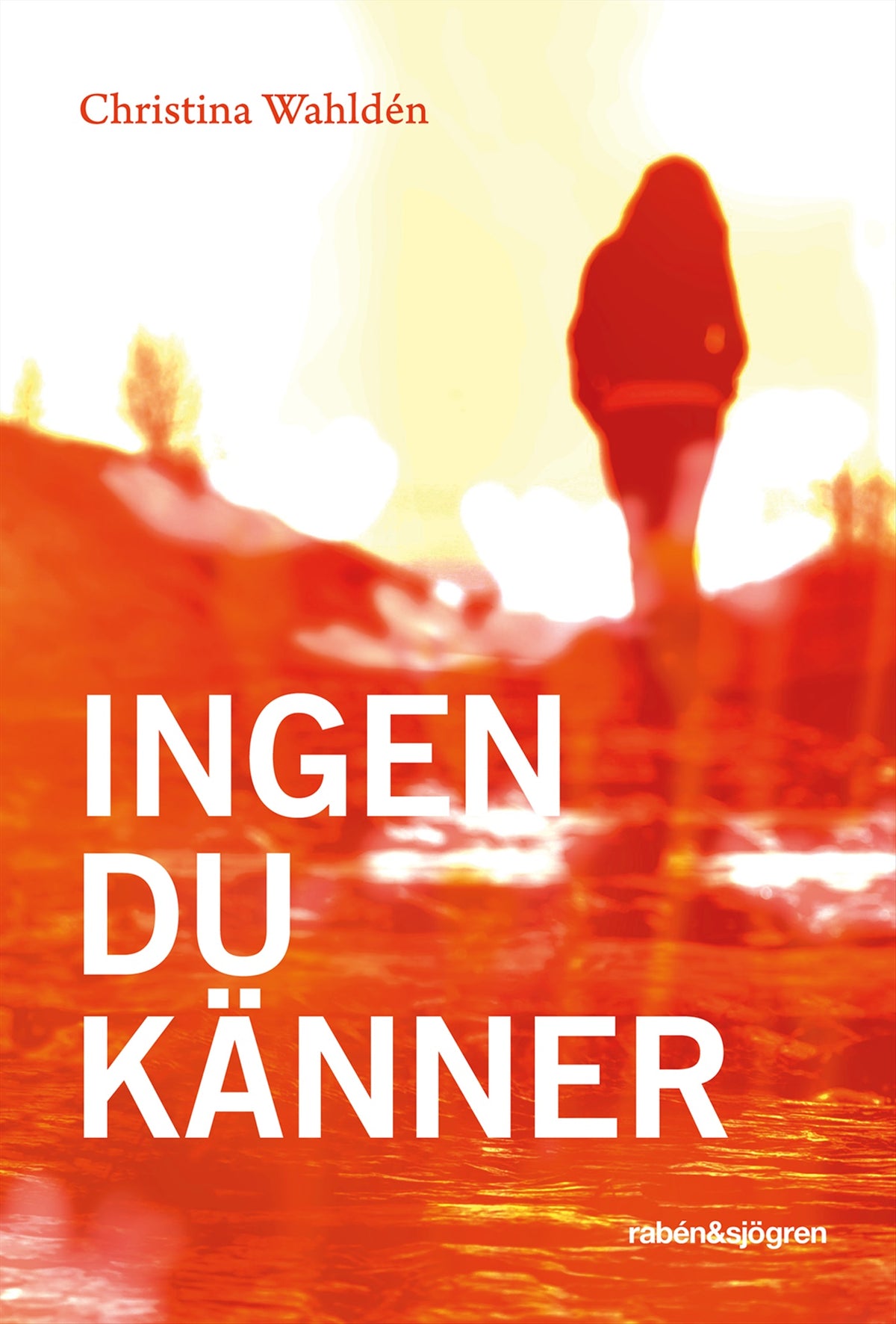 Ingen du känner – E-bok