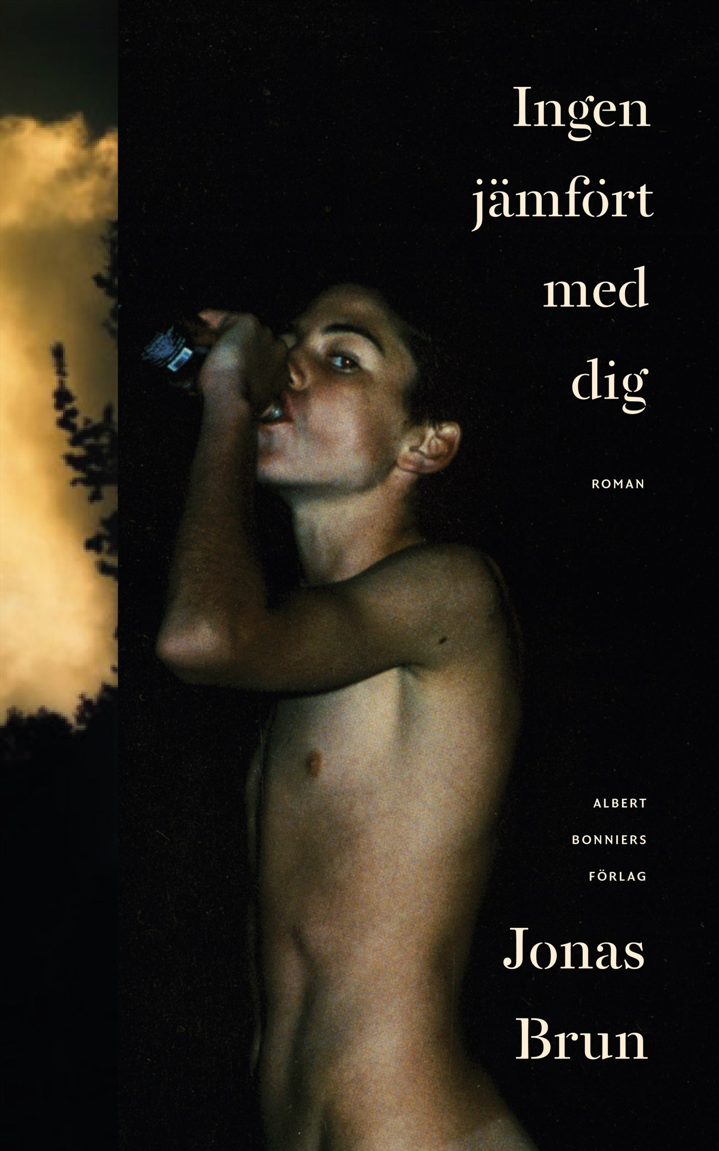 Ingen jämfört med dig – E-bok