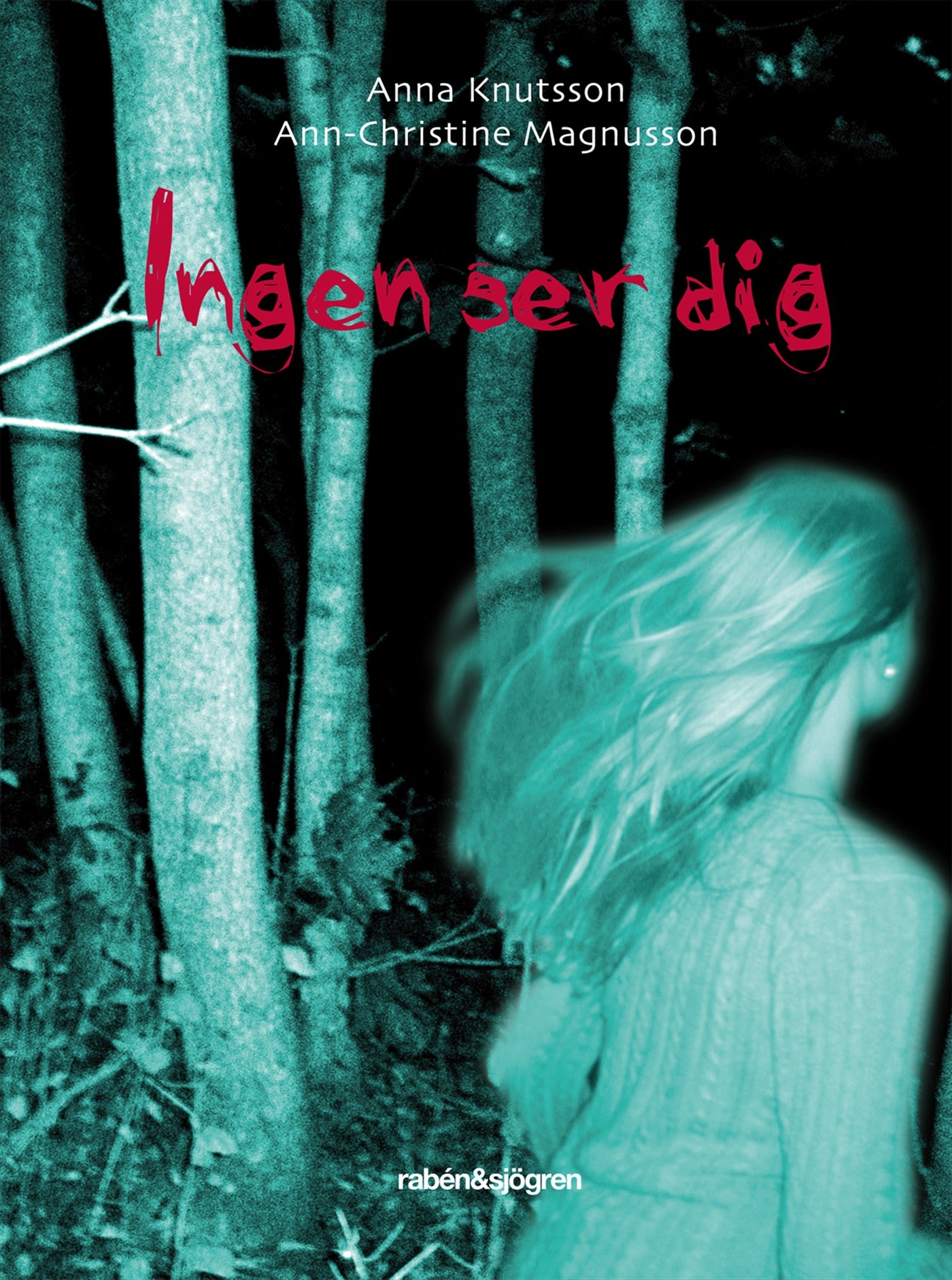 Ingen ser dig – E-bok