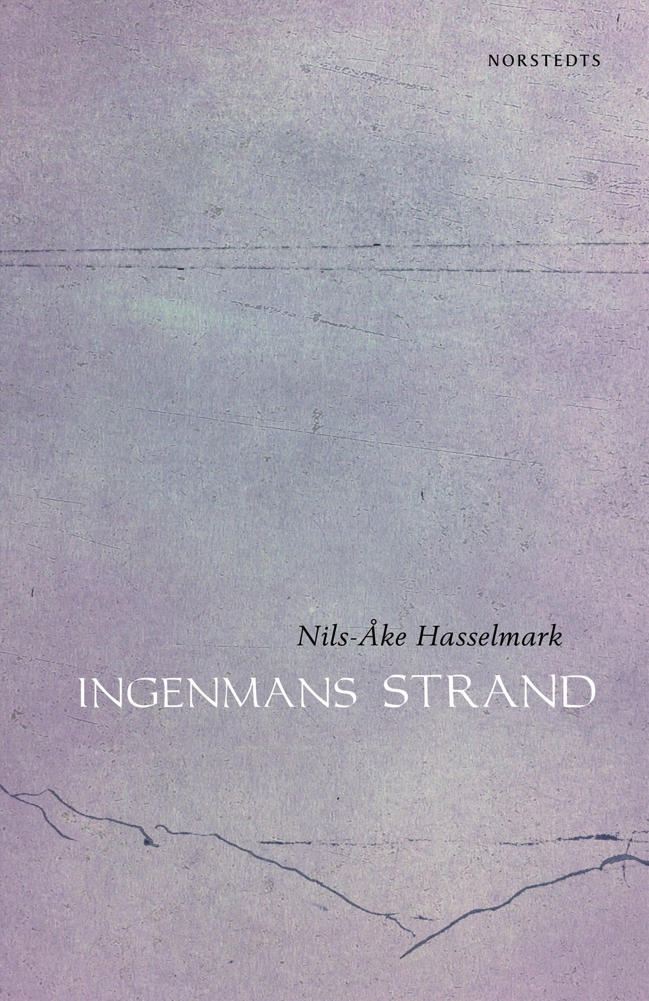 Ingenmans strand – E-bok
