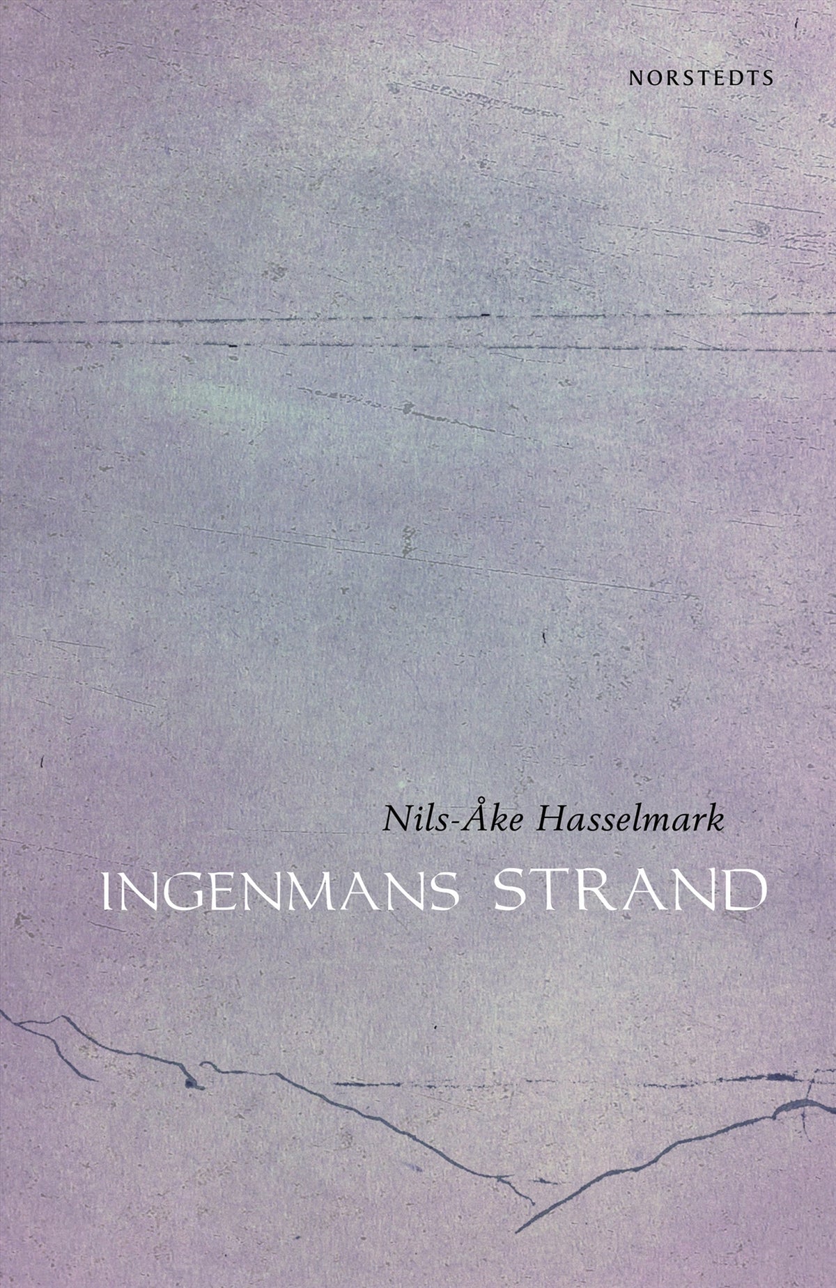 Ingenmans strand – E-bok